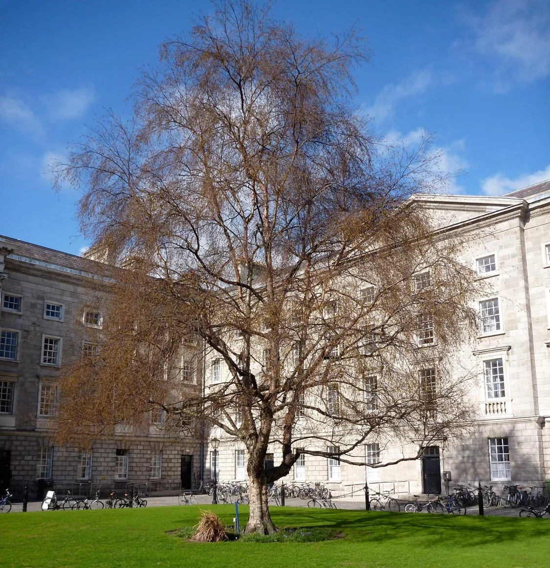 Learning vs. Education