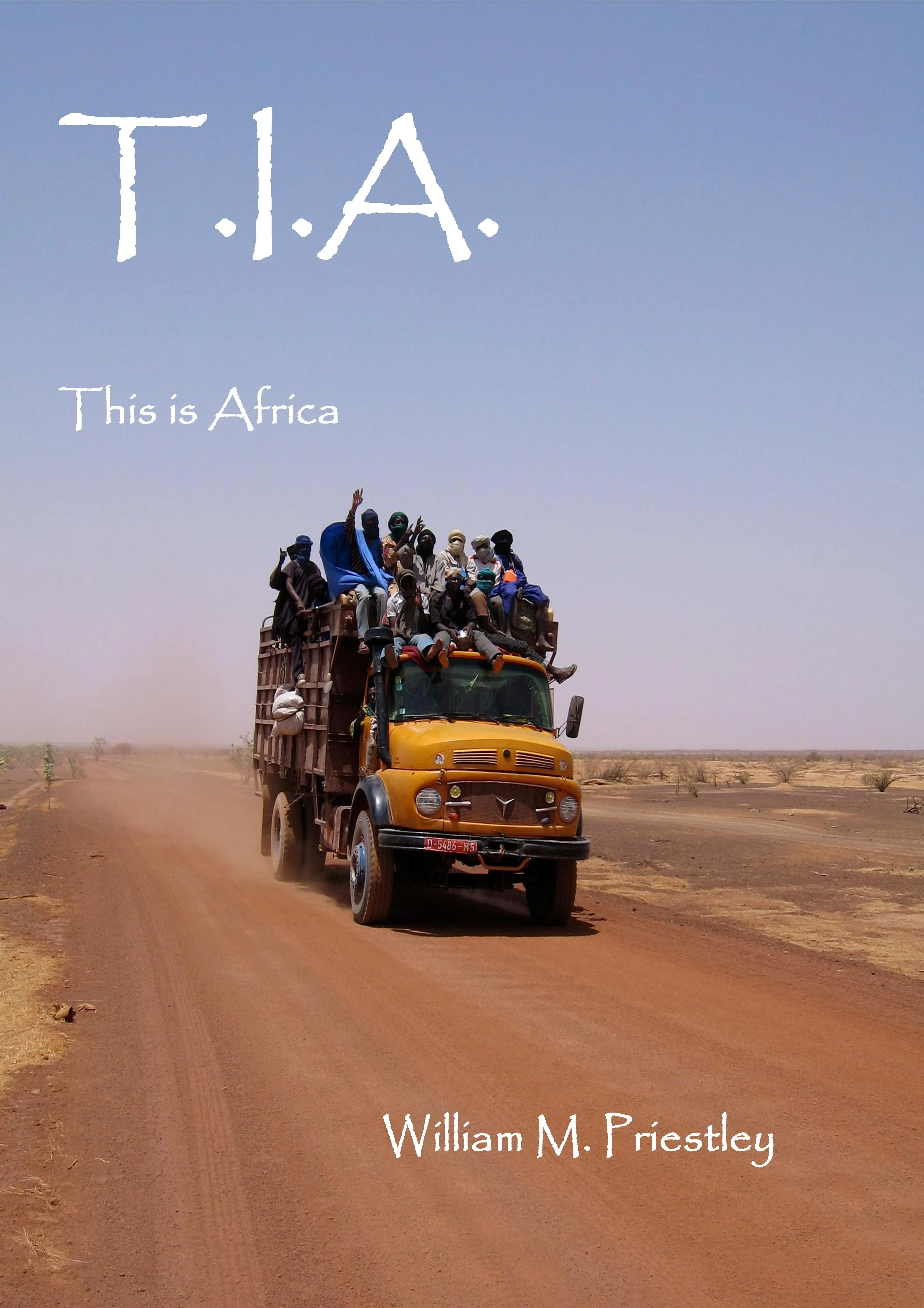 T.I.A.: This Is Africa