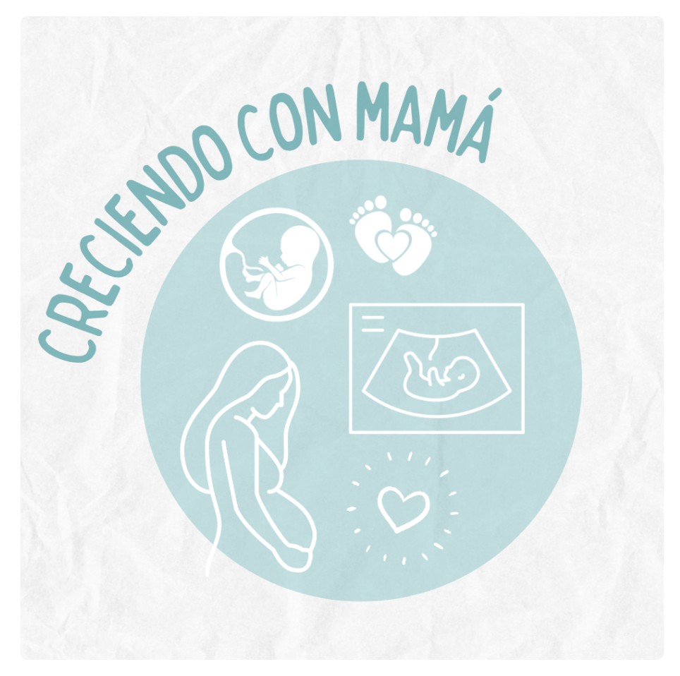 Embarazo y la alimentación