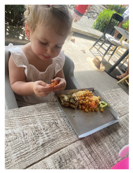 Alimentos ricos en hierro para bebés y niños pequeños