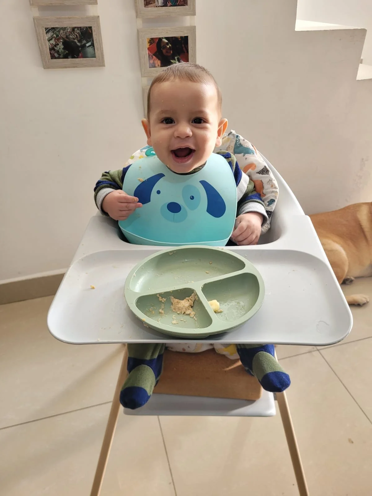 Más que una silla: un apoyo para aprender a comer