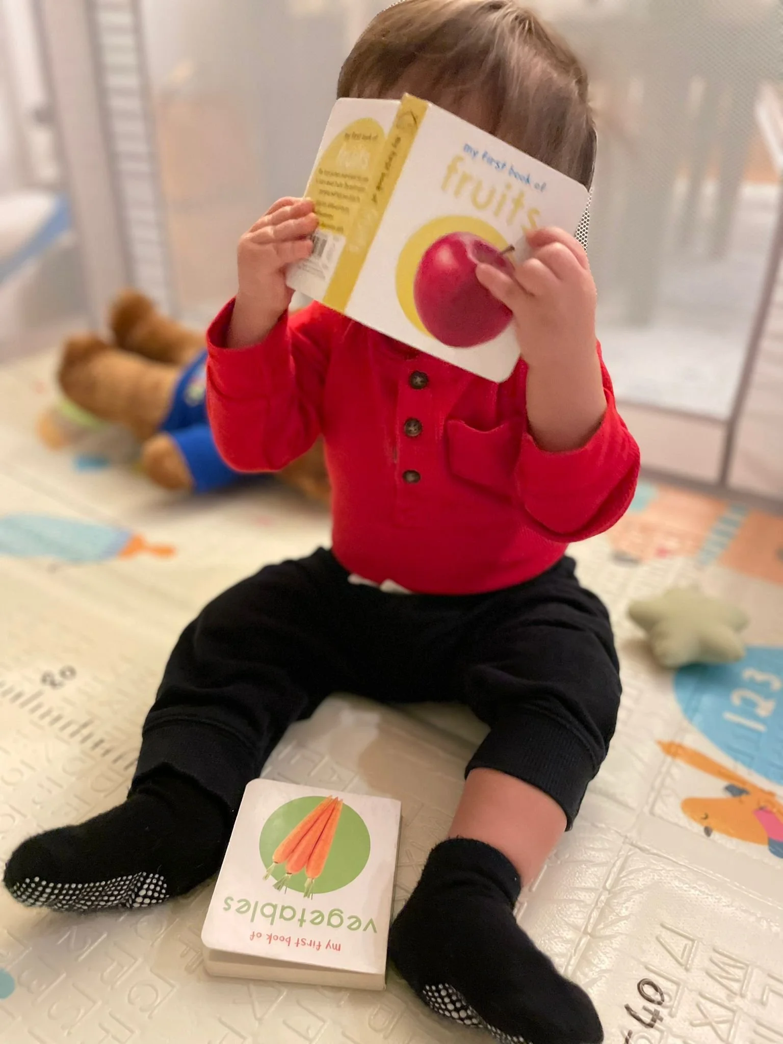 Más allá de la comida: libros para aprender desde pequeños