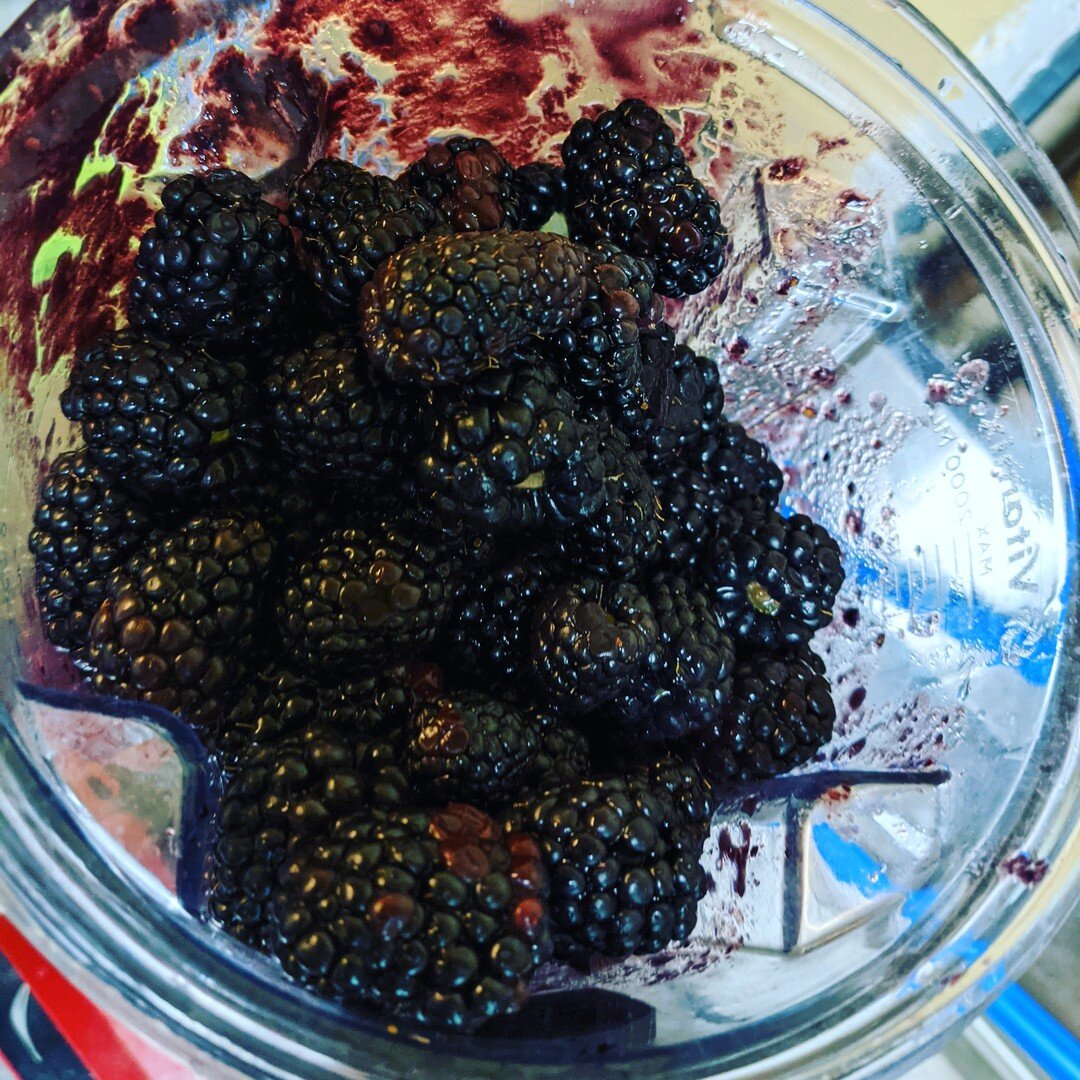 Fresh Blackberries getting psyched up to become a puree for the Blackberry Session Series