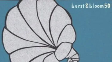 Burst & Bloom