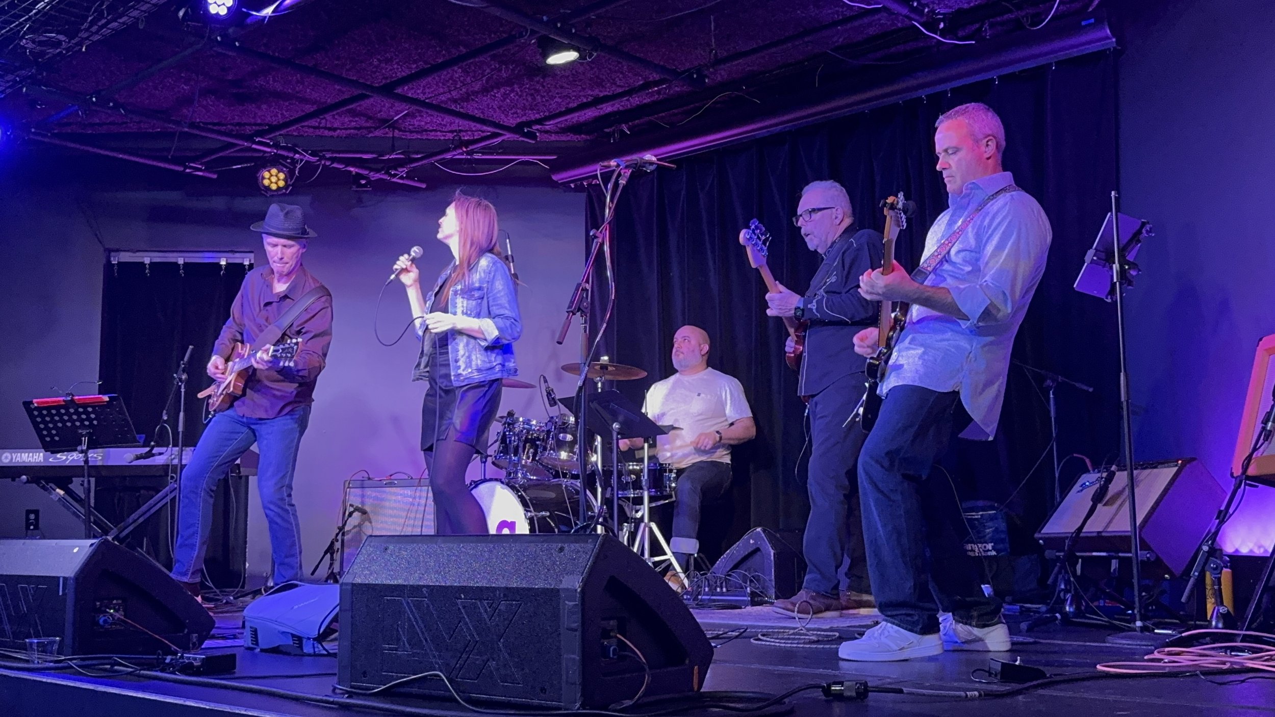 PMAC Adult Rock & Blues Show