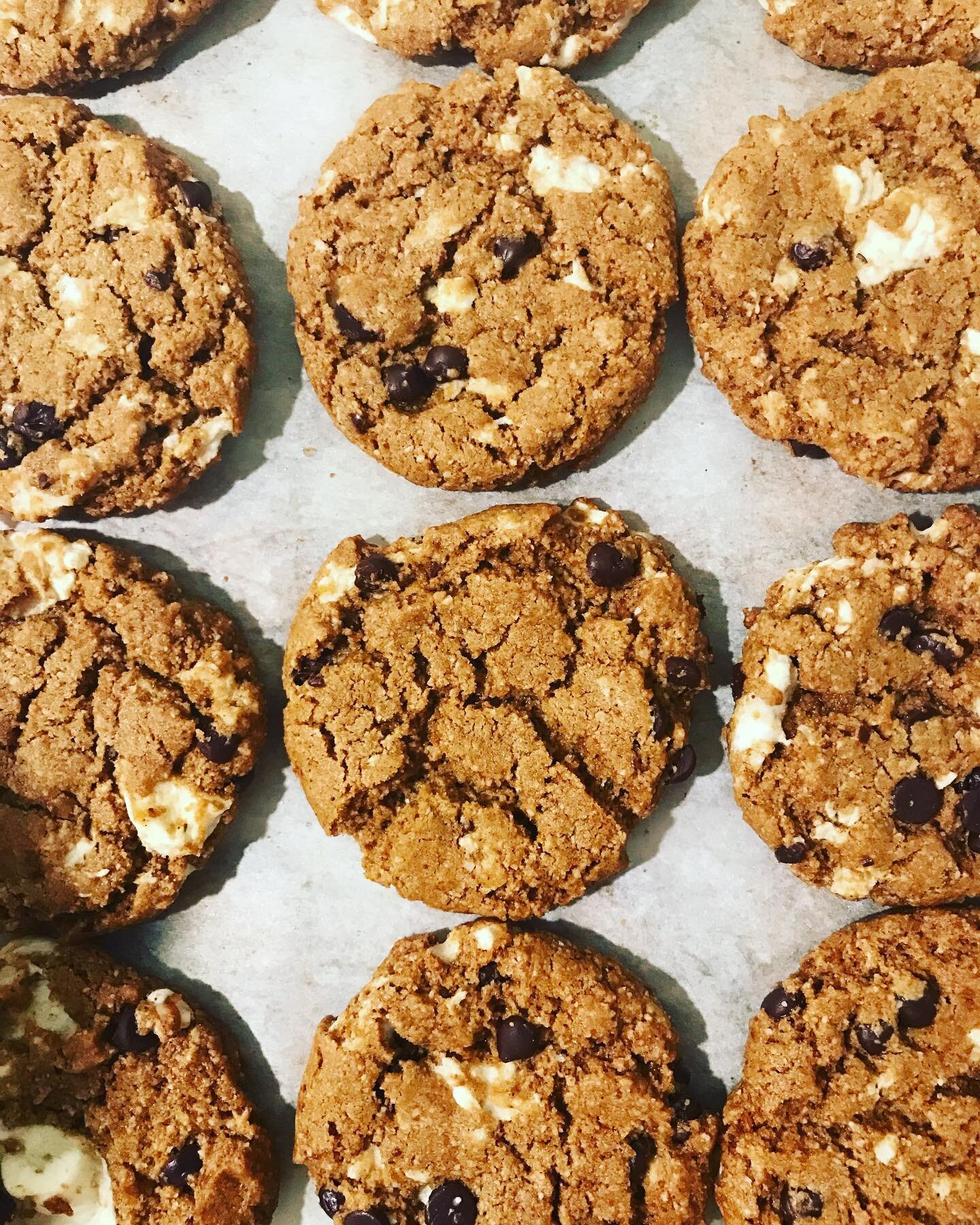 #vegan#glutenfree#smores#cookies  if your out on this rainy day stop in for a sample 😋 rainy days always make me want cookies and tea and I&rsquo;m lucky enough to have both of those things at the belly 💕 remember to place your holiday orders, the 