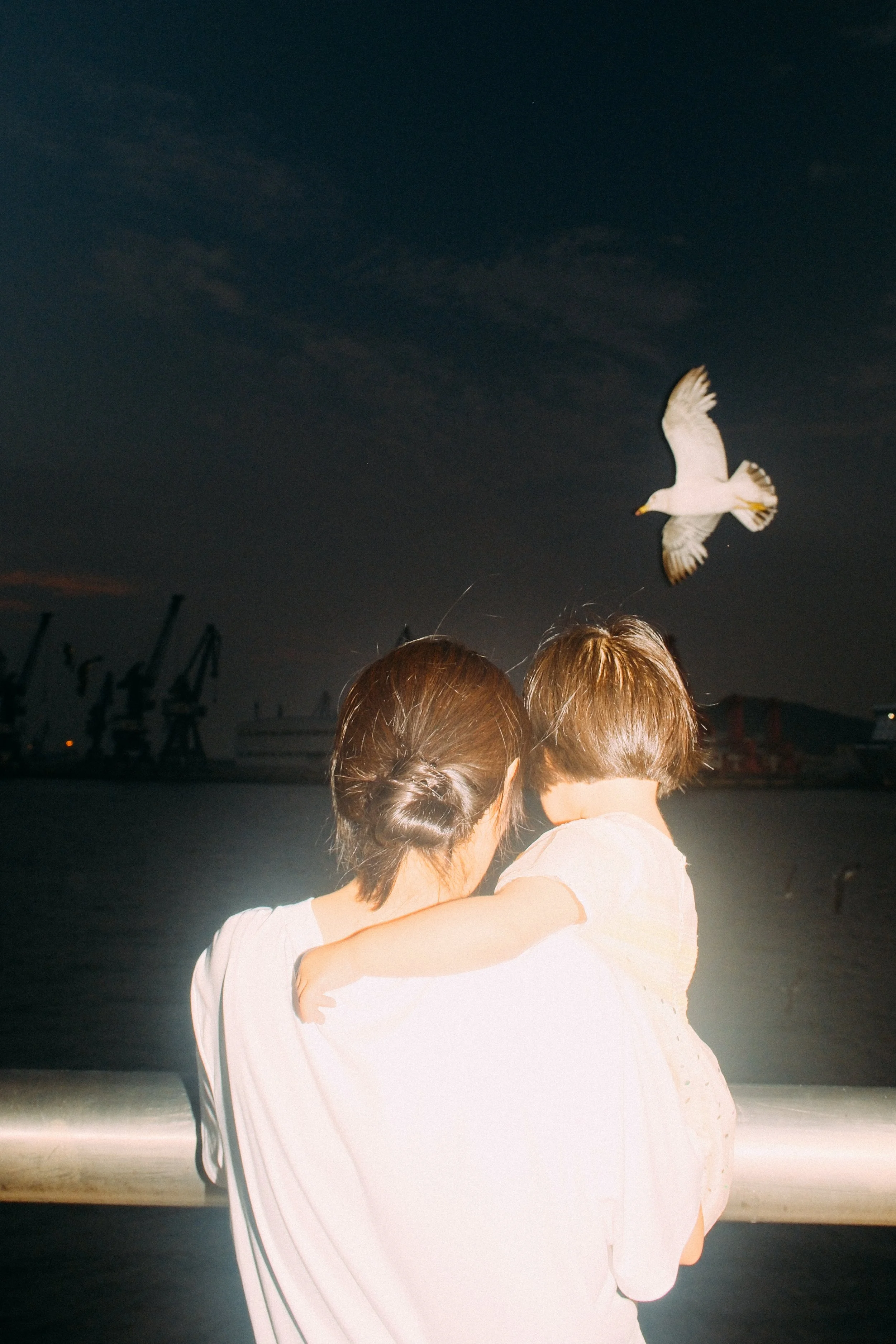 DSCF8895.jpg