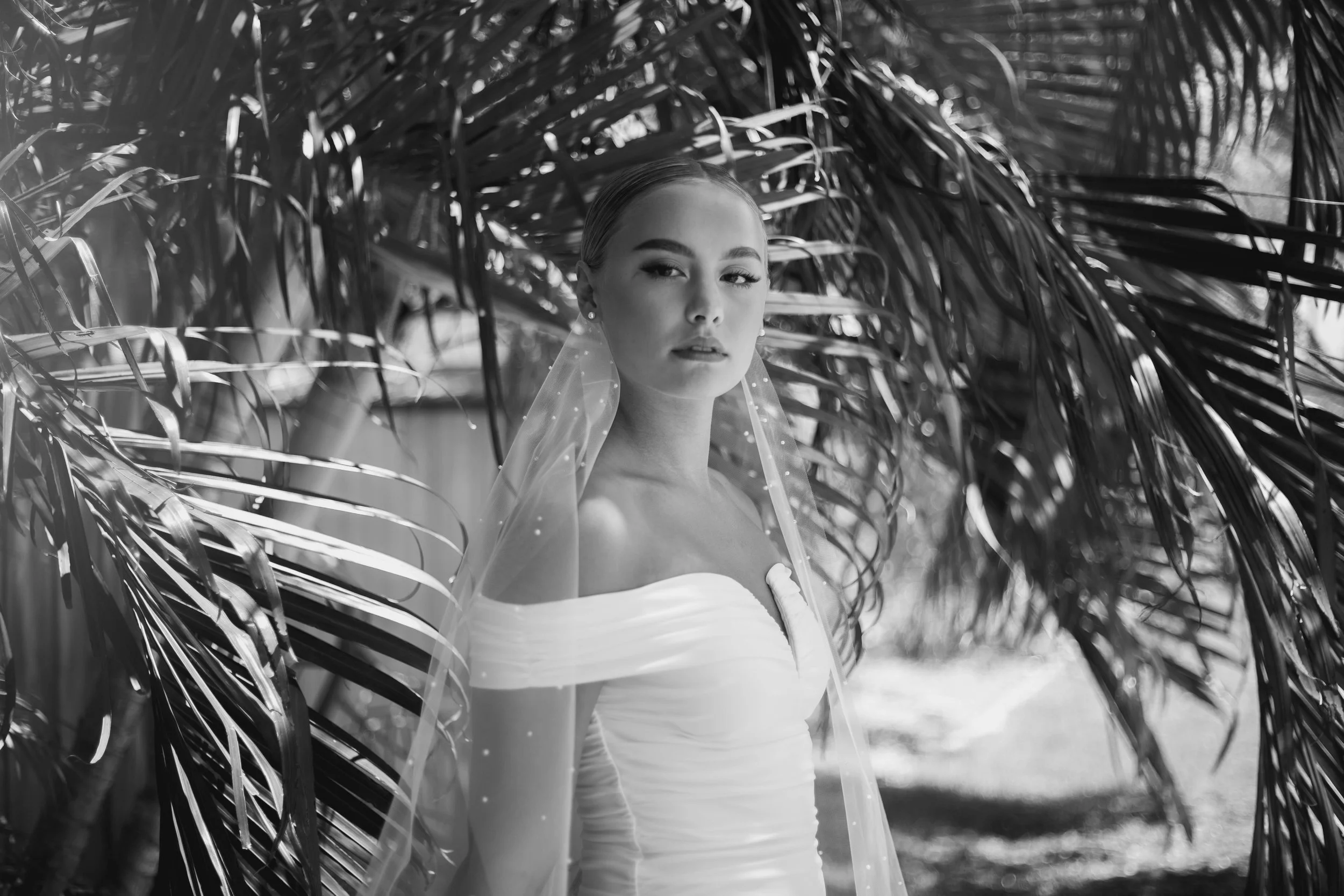 Jonathan and Judith Williams Wedding Gallery-195.jpg