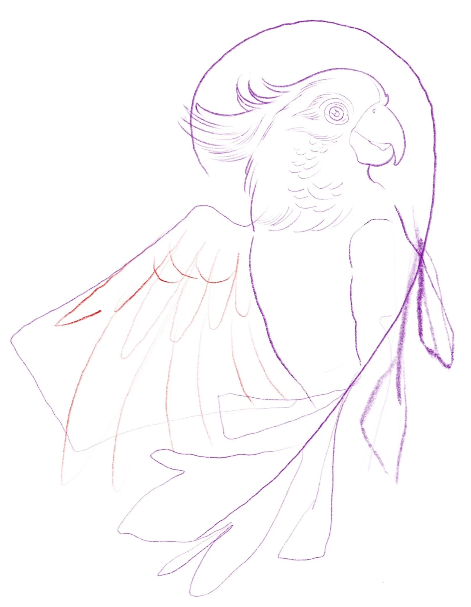 Untitled_Artwork 39.jpg