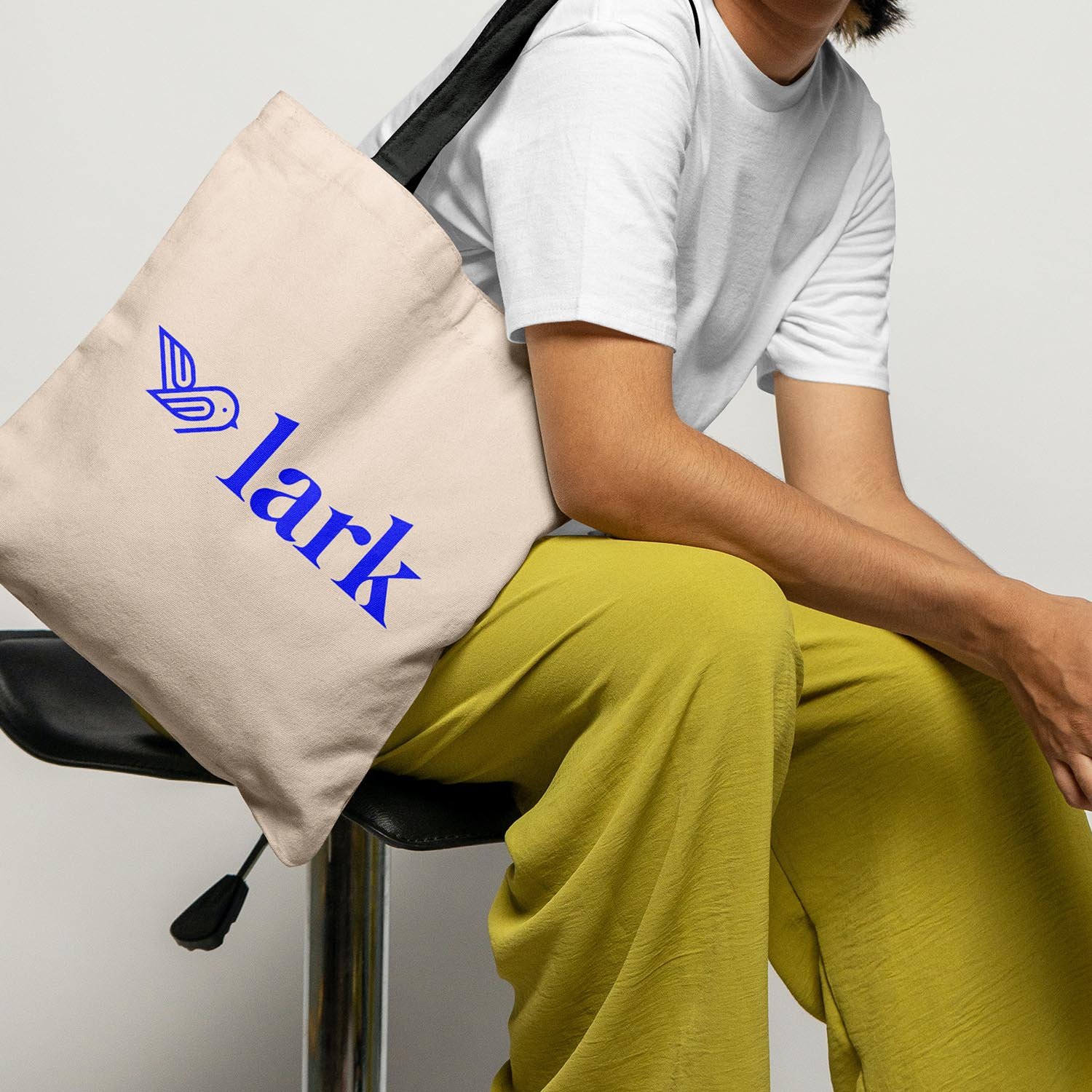 portfolio-LARK.jpg