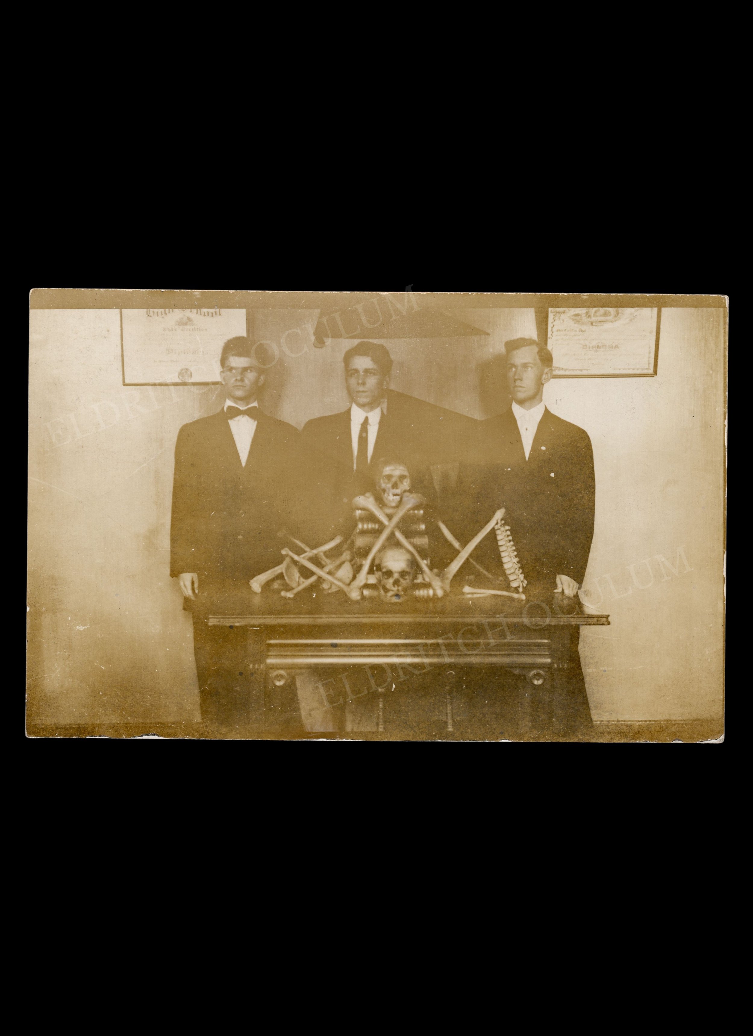 Three Students with Arrangement of Human Skulls & Bones on Stack of Books, real-photo postcard, c. 1910