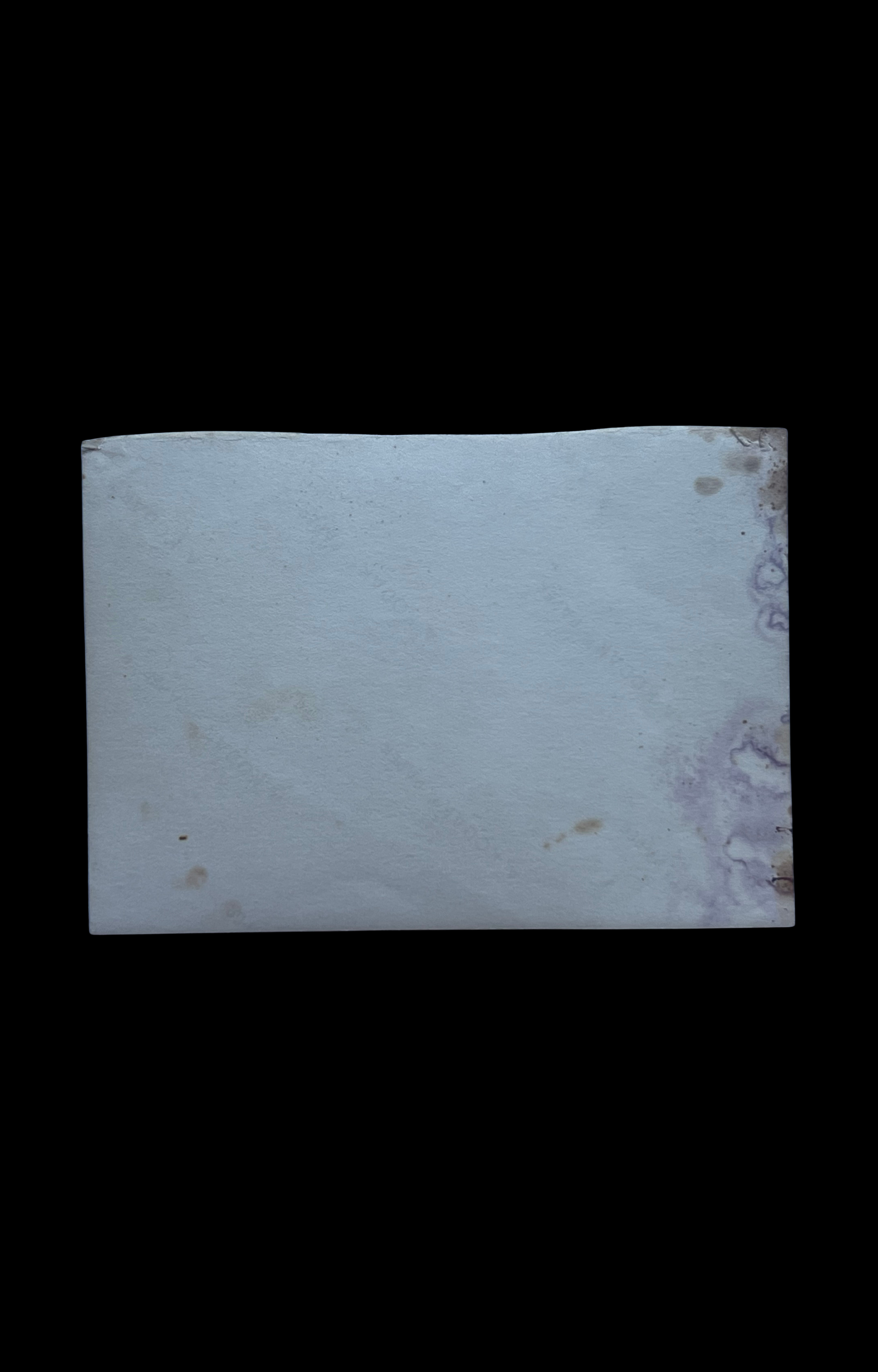 IMG_4919.png