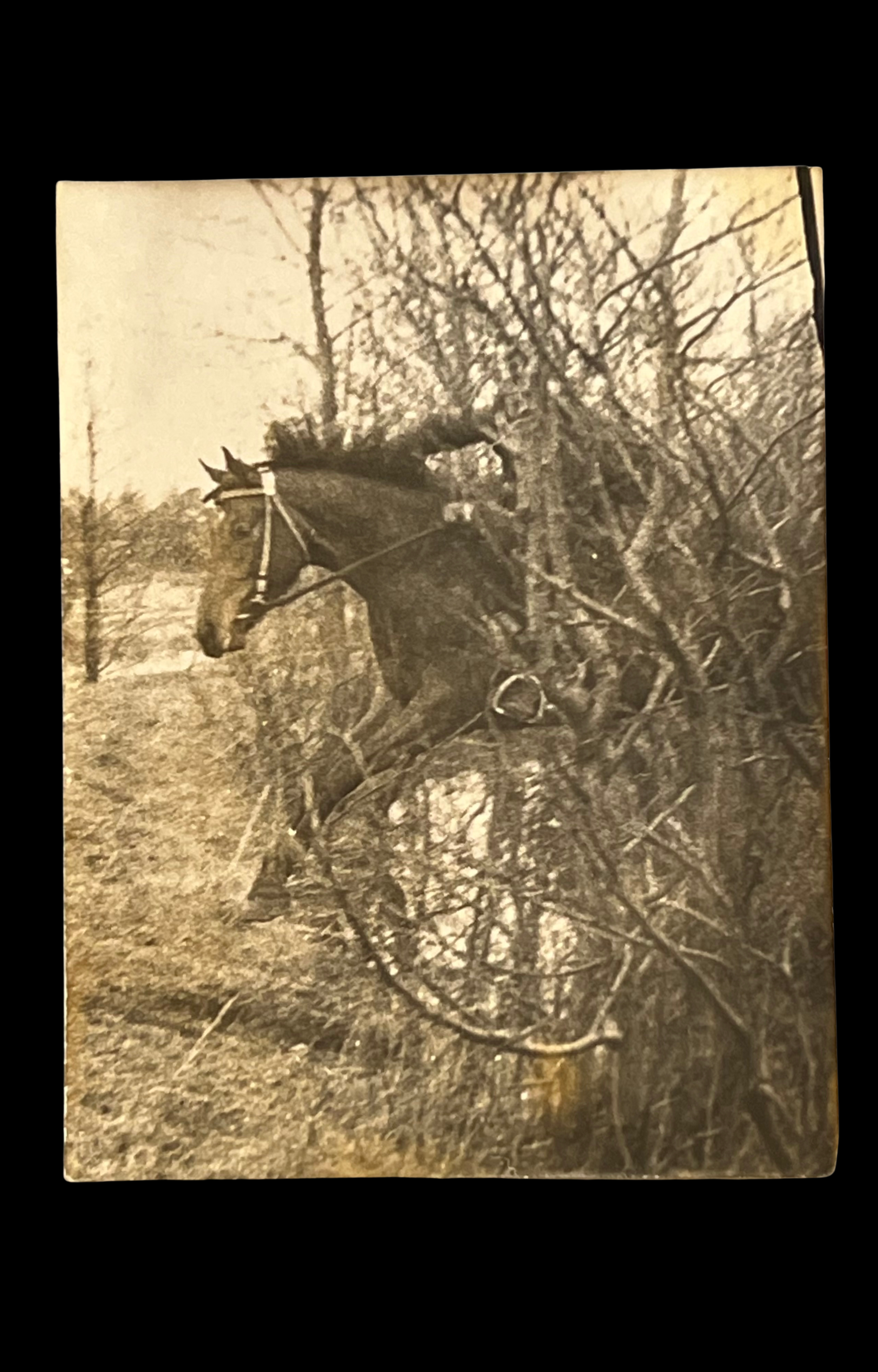 Horse Jumping Over Brook with Rider Obscured by Thicket, Snapshot, c. 1910's