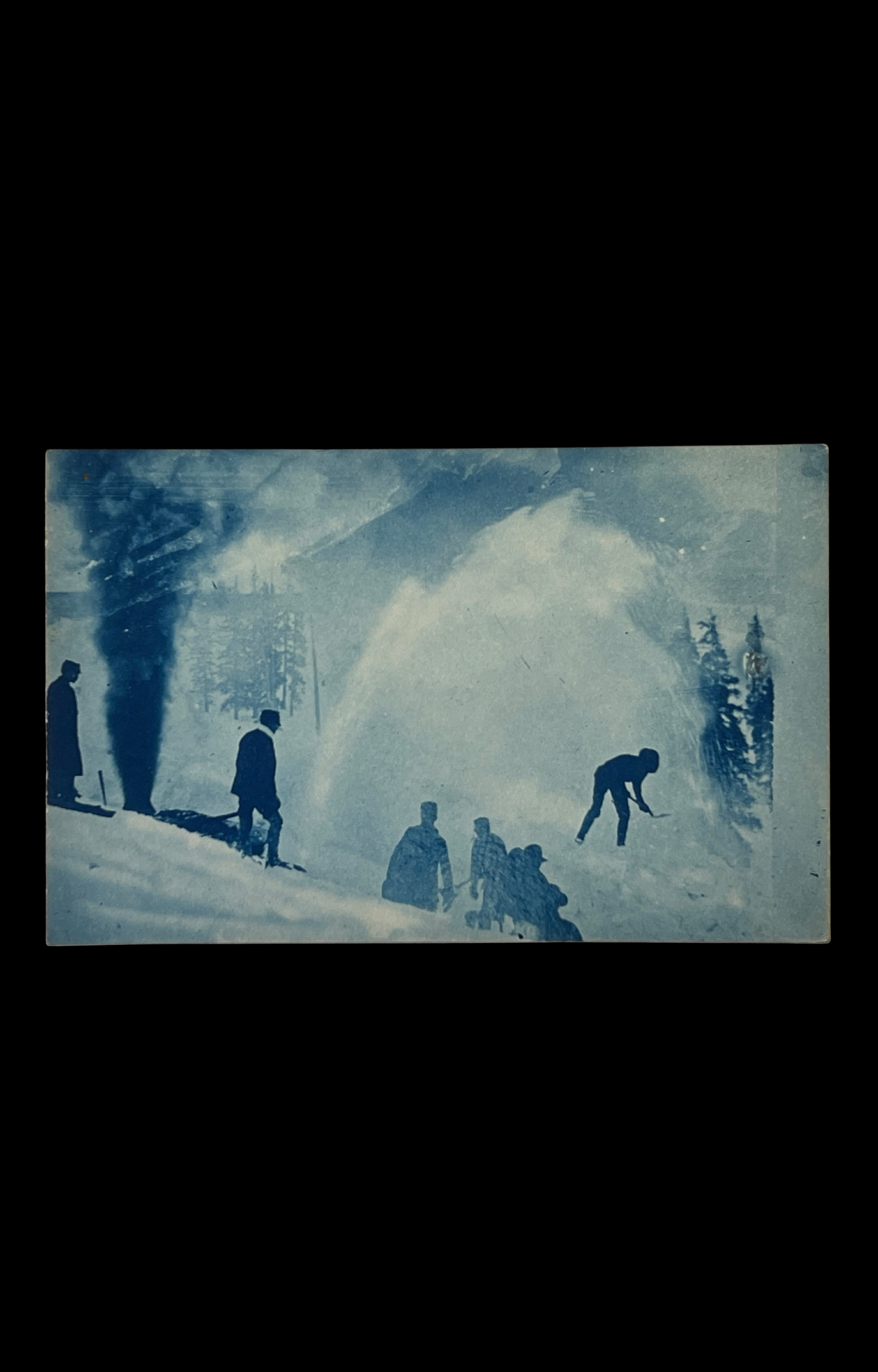 Cyanotype Real-Photo Postcard