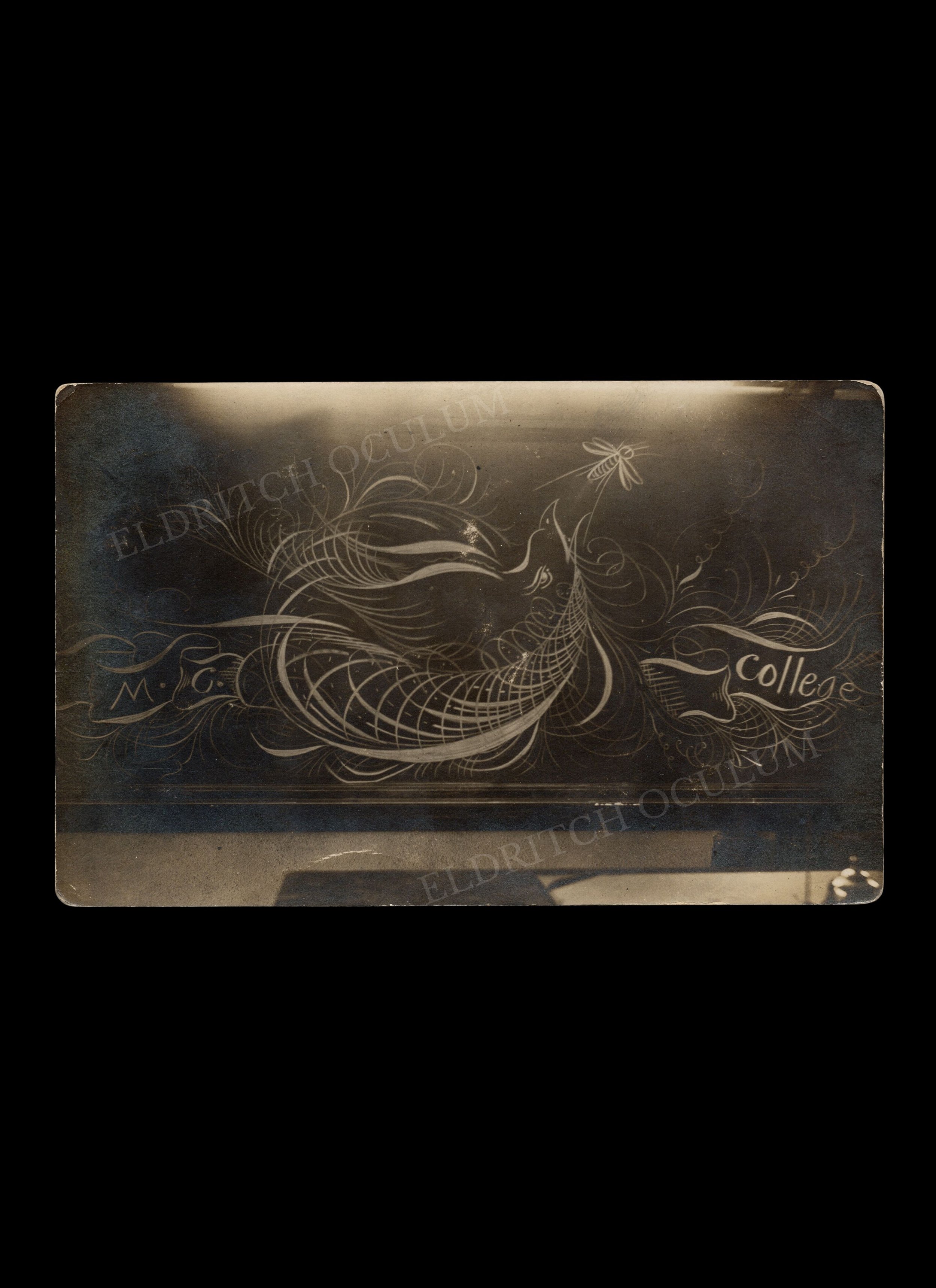 Large-Scale Spencerian Drawing in Chalk on Chalkboard, Mississippi College, real-photo postcard, c. 1905