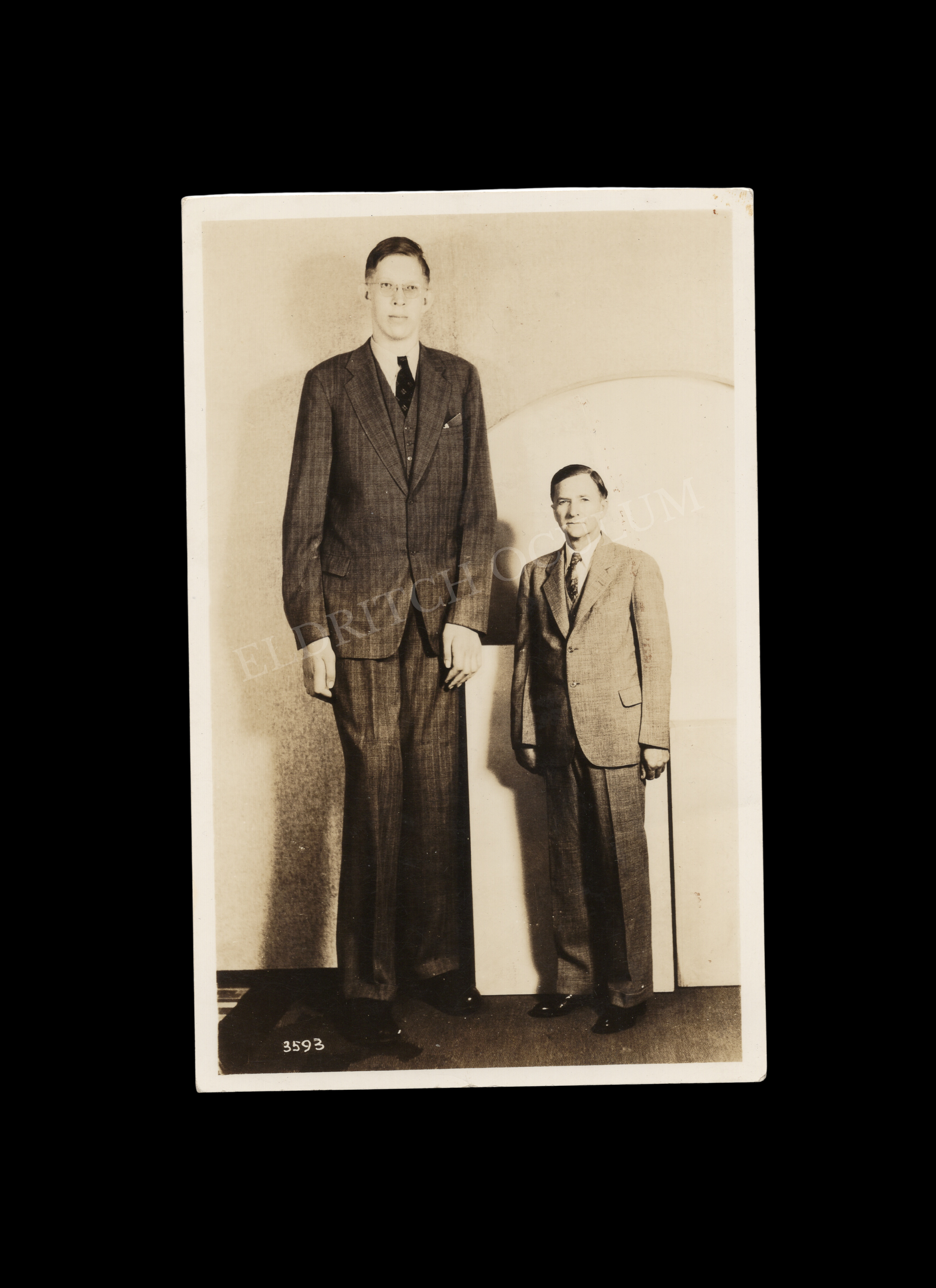 Tallest Person in History: Robert Wadlow, Giant of Illinois Beside His Father, real-photo postcard, signed, c. 1938