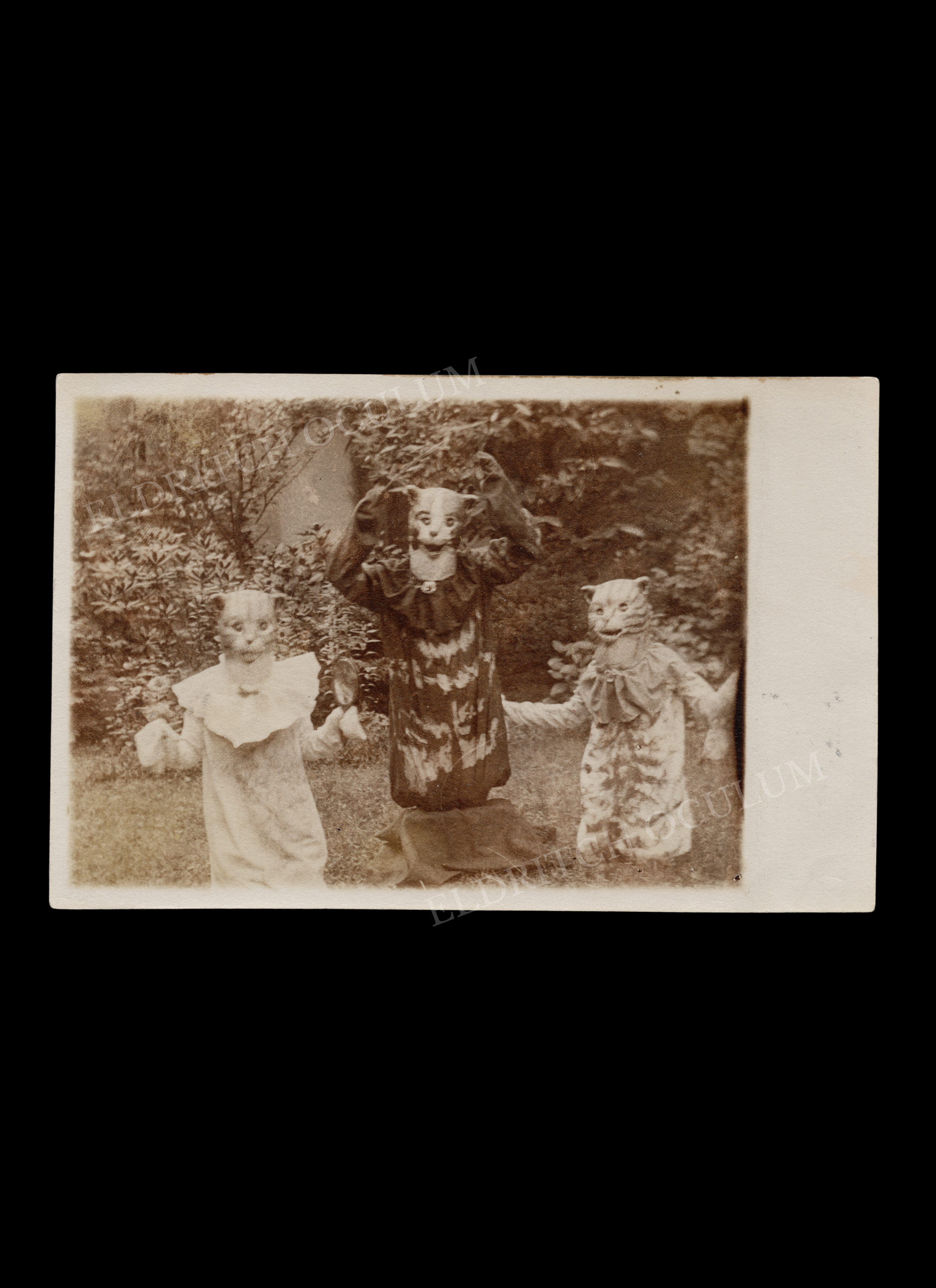 Three Figures in Cat Costumes, real-photo postcard, c. 1910