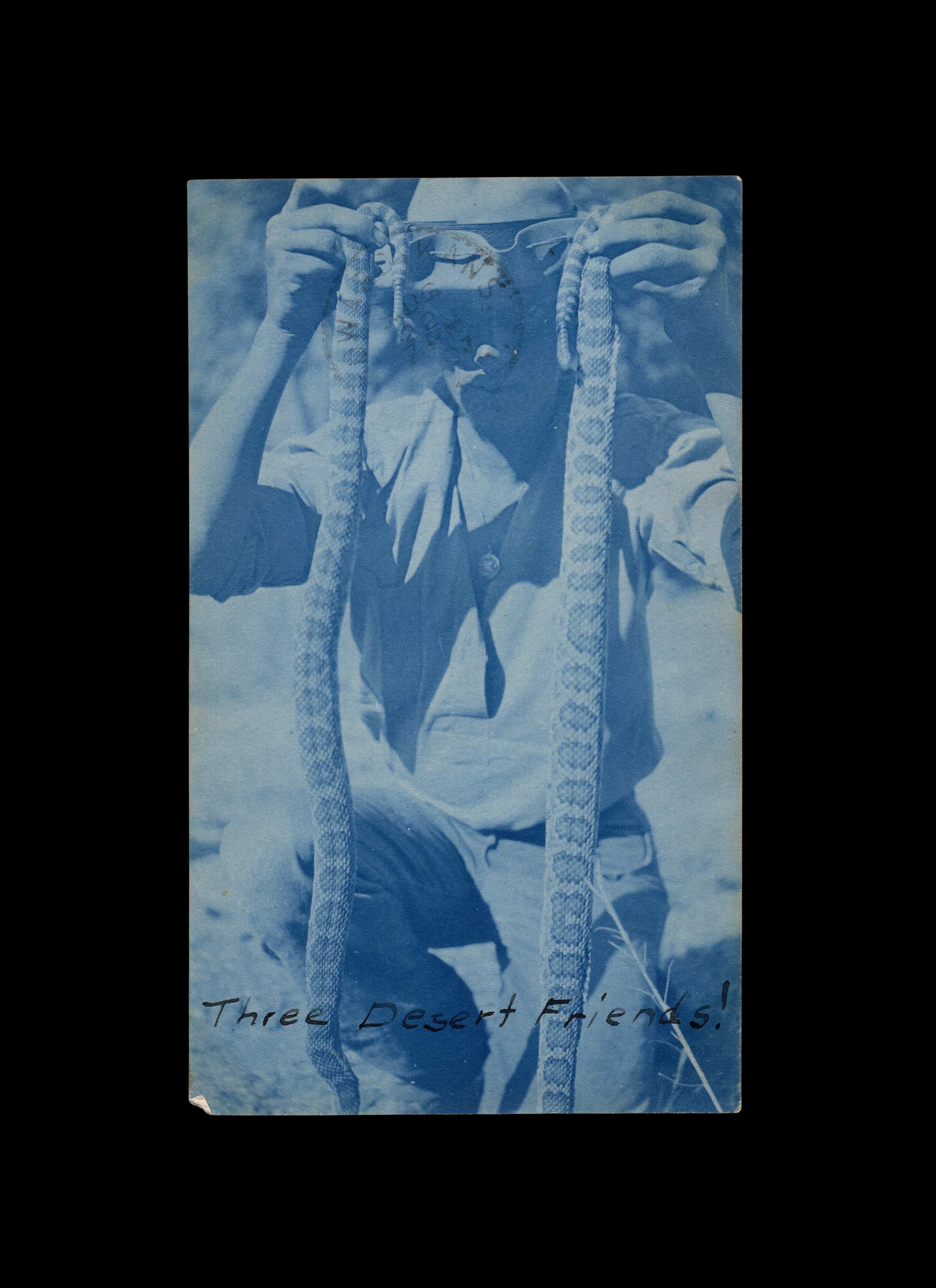 Three Desert Friends!, Figure with Face Obscured in Shadow, Holding 2 Rattlesnakes, Cyanotype Real-Photo Postcard, c. 1910