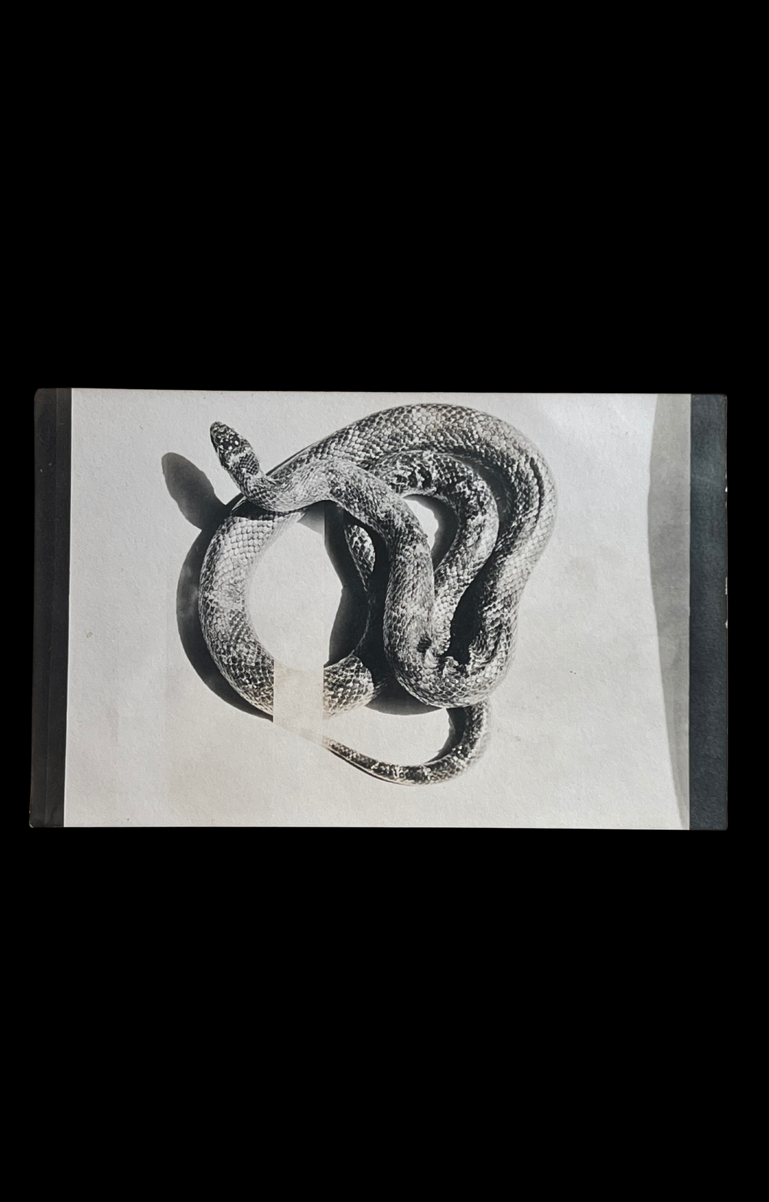 Copy of Copy of Eldritch Oculum ~ Catalogue 7 - 5.png