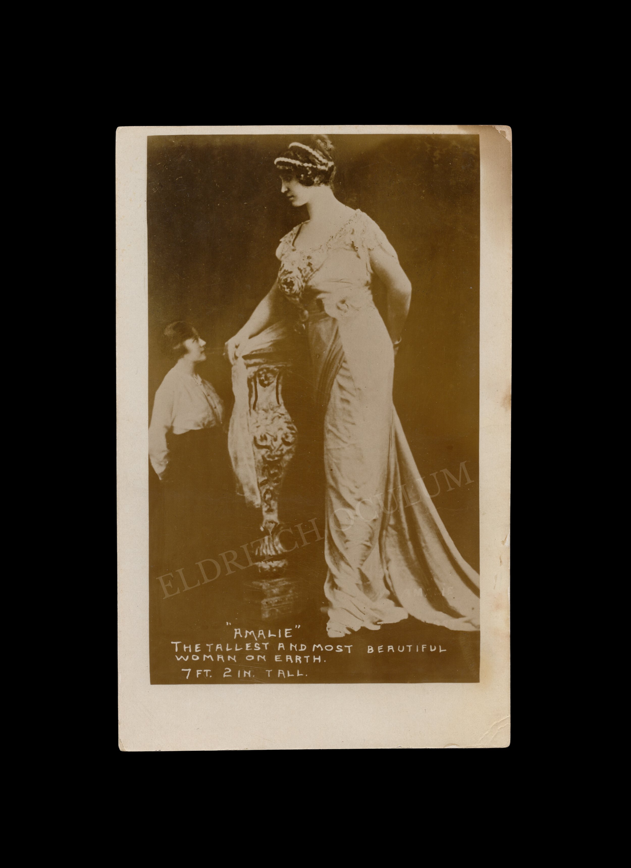 Amalie, The Tallest and Most Beautiful Woman on Earth, real-photo postcard, c. 1914