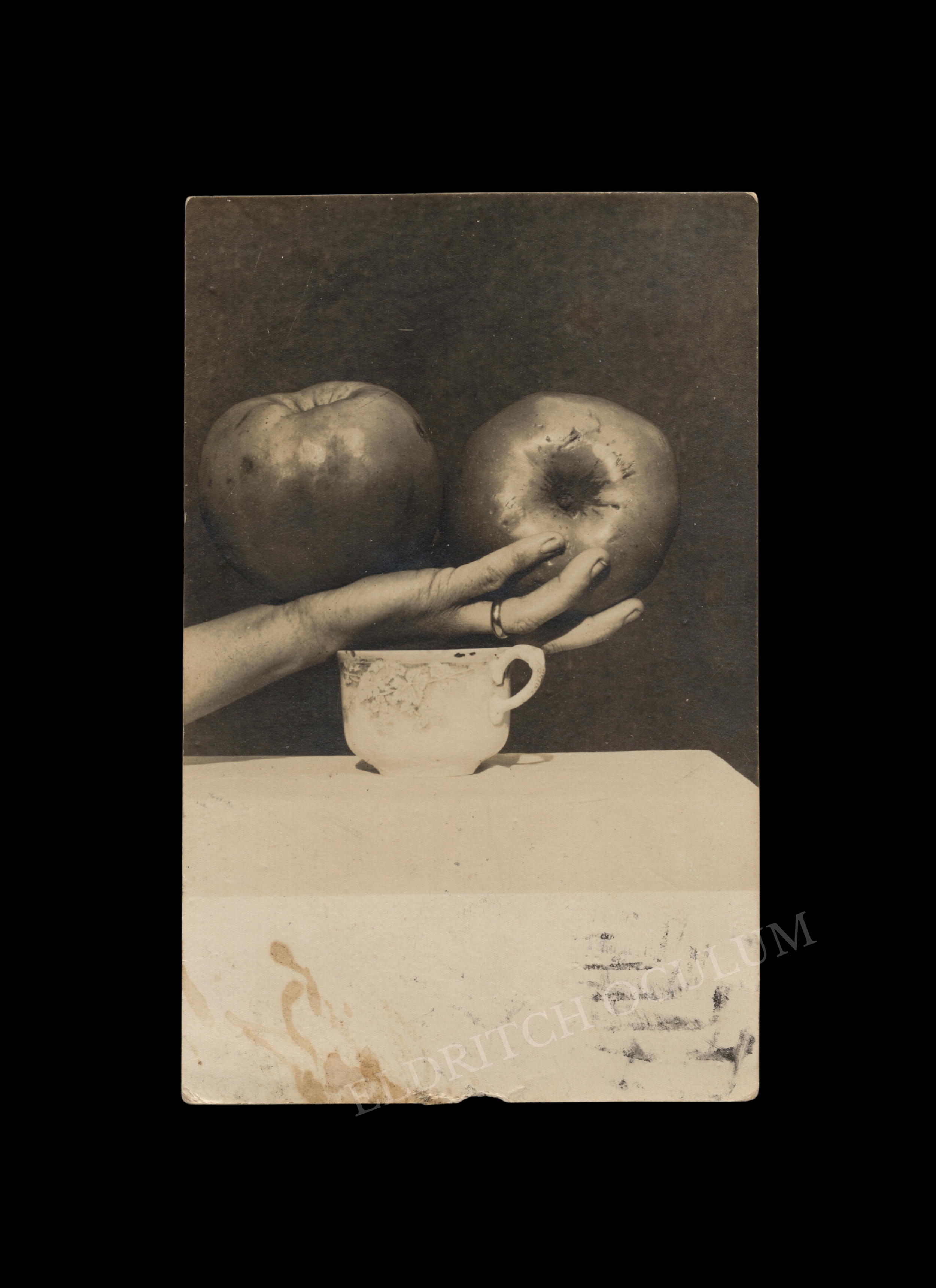 Curious Still Life Composition with Human Hand, real-photo postcard, c. 1910