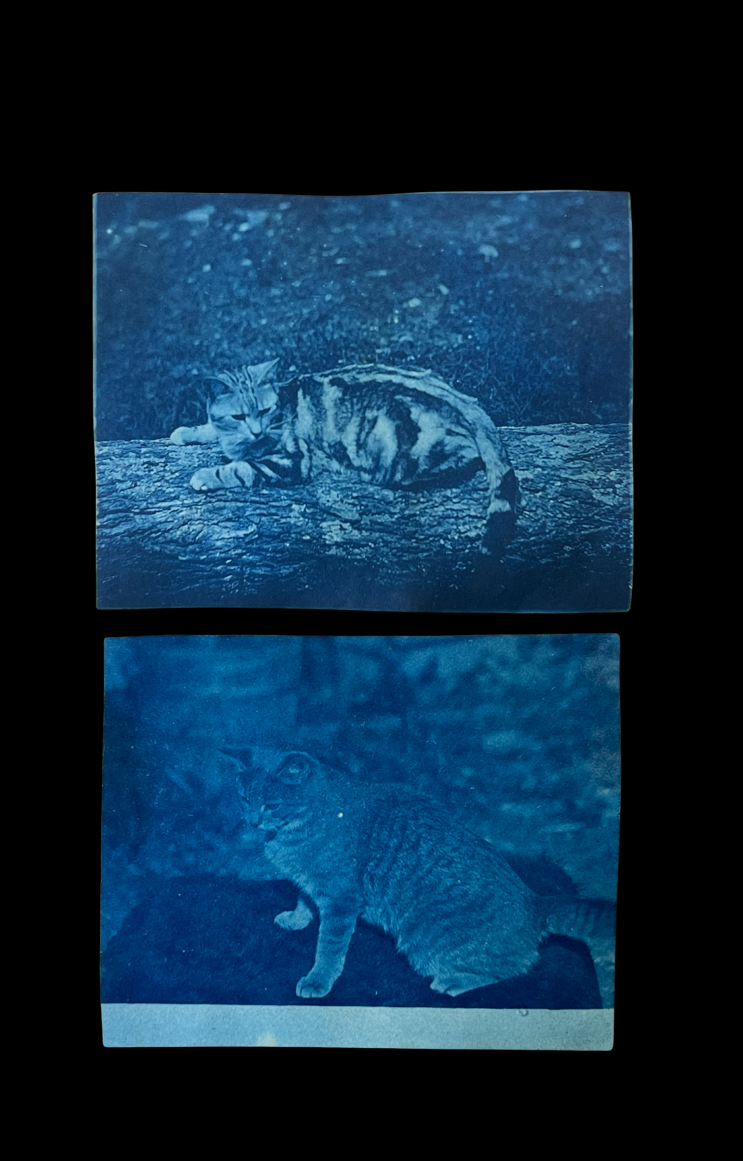 ELDRITCH OCULUM - 5.png