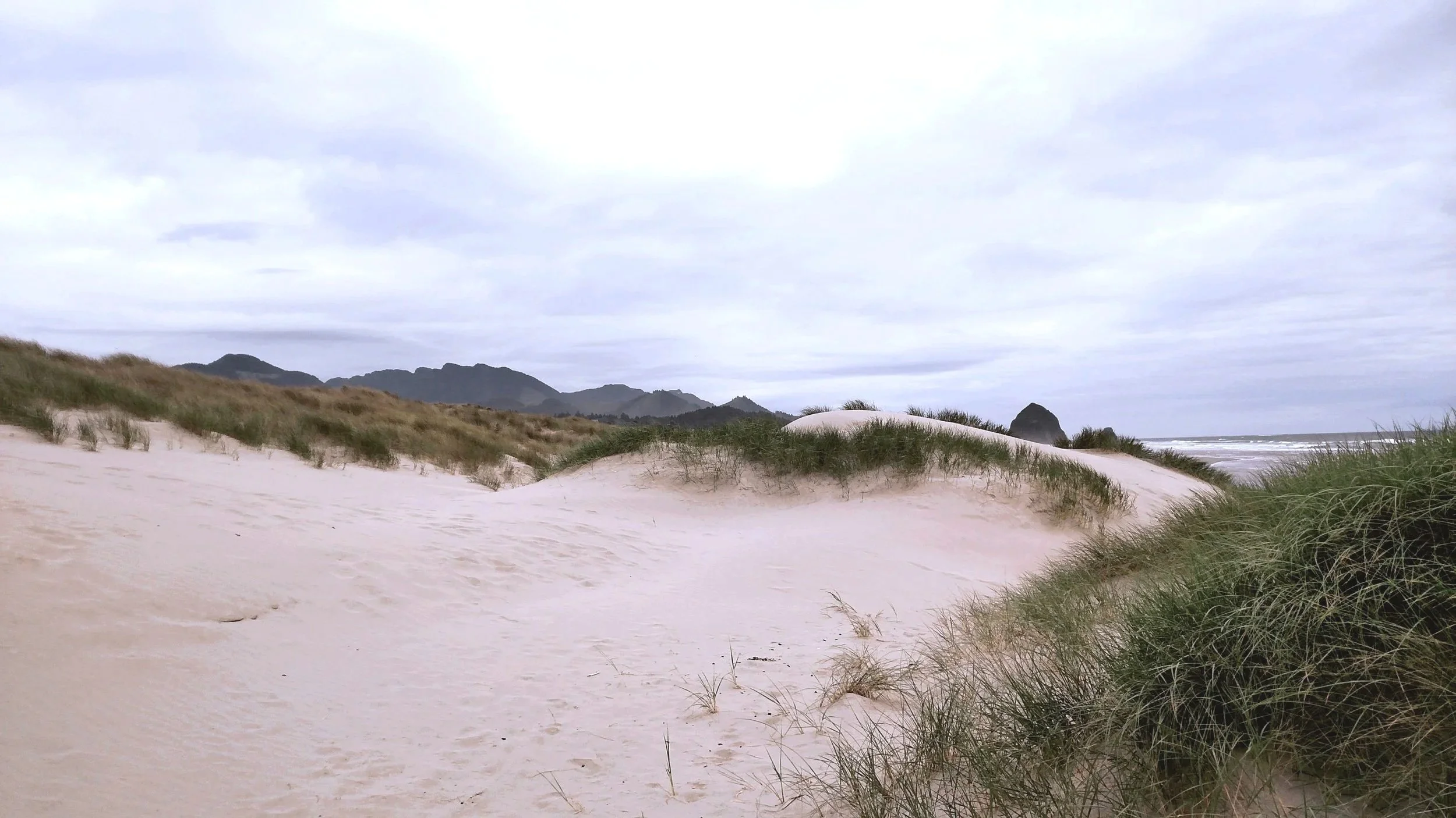 Evaluating Oregon’s Statewide Land Use Planning Goal 18: Beaches & Dunes