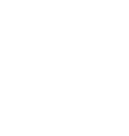 DGT Run