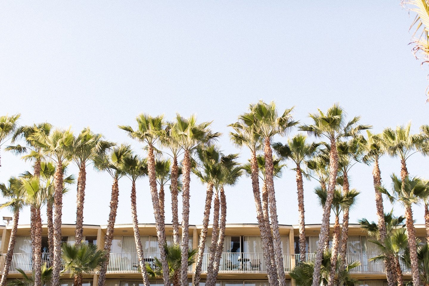 Been dreaming of these beachy wedding details a lot lately. Loved this shoot and venue from my time in San Diego a few months back. 🌴✨🍋