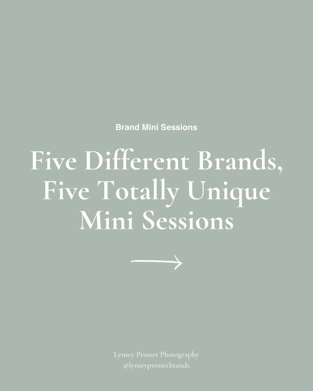 A little peek at how different one mini session can look from business to business. ✨

Needing a little refresh? I&rsquo;m hosting brand mini sessions on December 2nd at @whitespacestudio_sf and I&rsquo;d love to see you there! Link in bio to book.