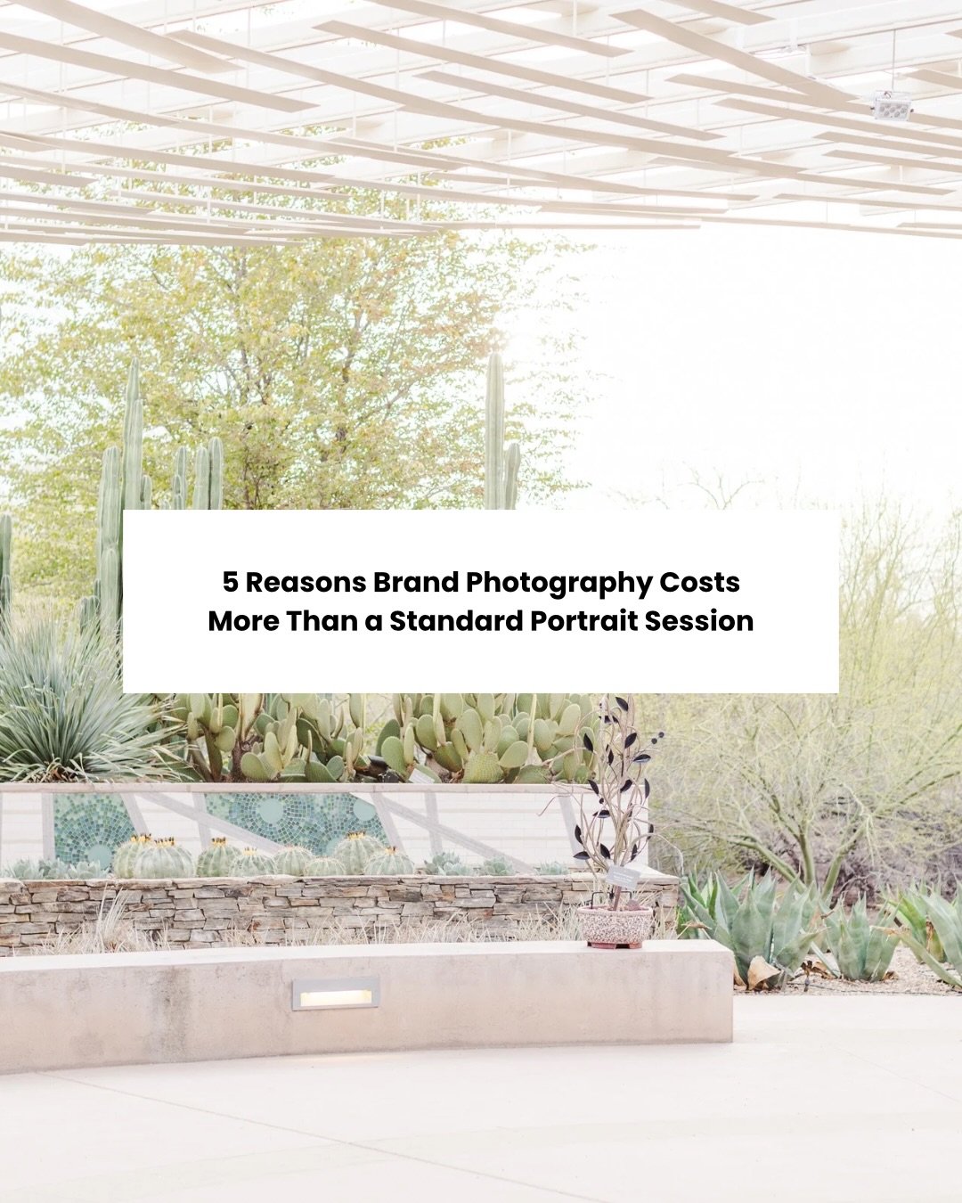 Every now and then I hear the sentiment that brand photography is too expensive. And I totally understand that; it&rsquo;s a big investment for most people!&nbsp;

But here&rsquo;s the thing, brand photography serves a totally different purpose than 