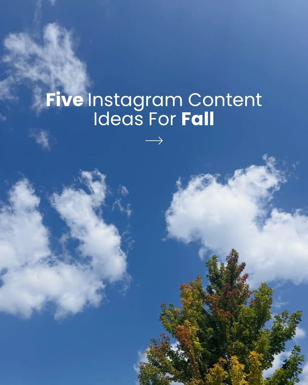 We can make creating content wayyy too complicated. Here are a few quick and easy ideas that you can post today (or this week) to get you out of your slump! Happy September!!!