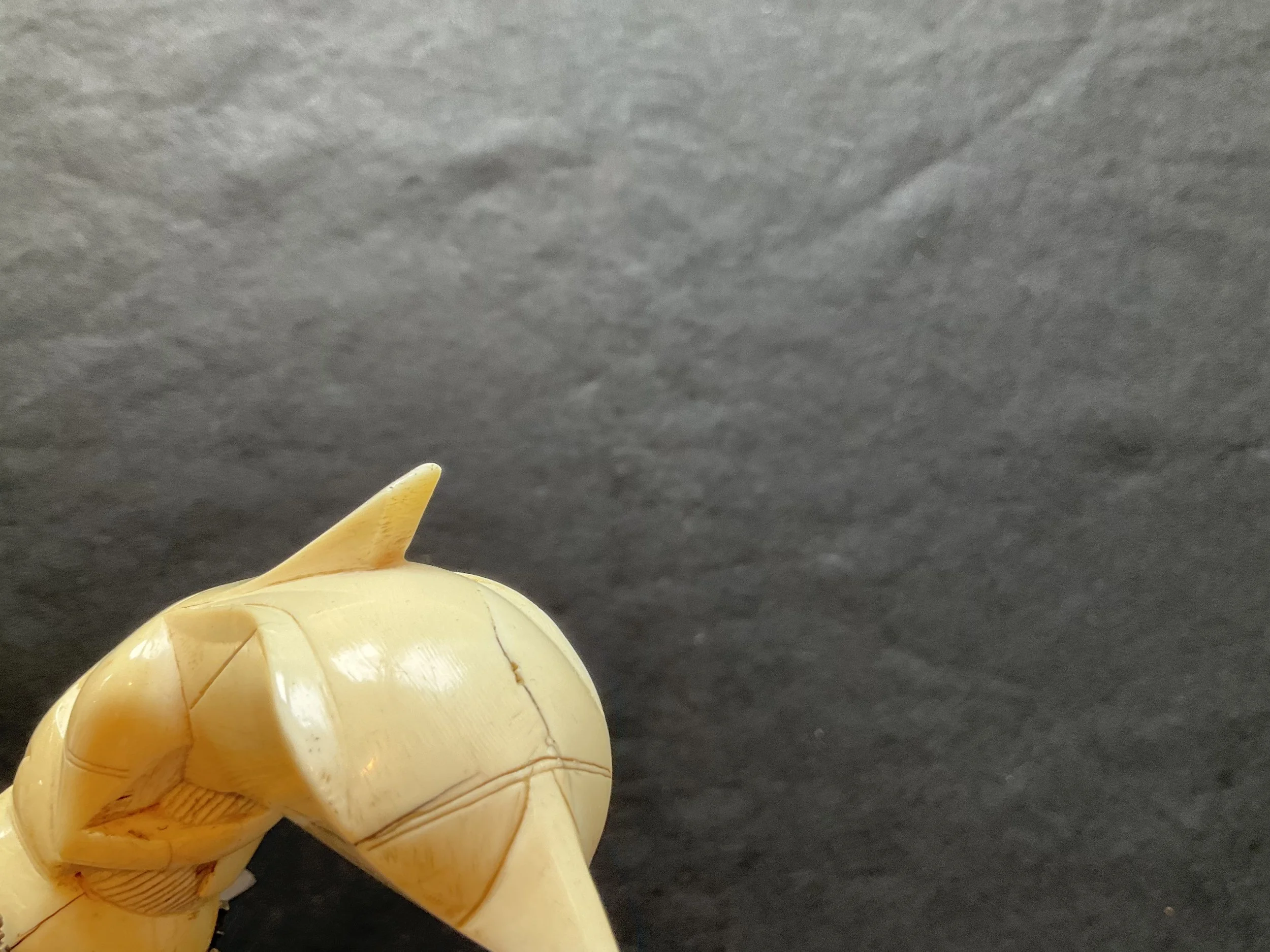 D6910347-426D-49DF-B14F-11A6C59C2816.jpeg