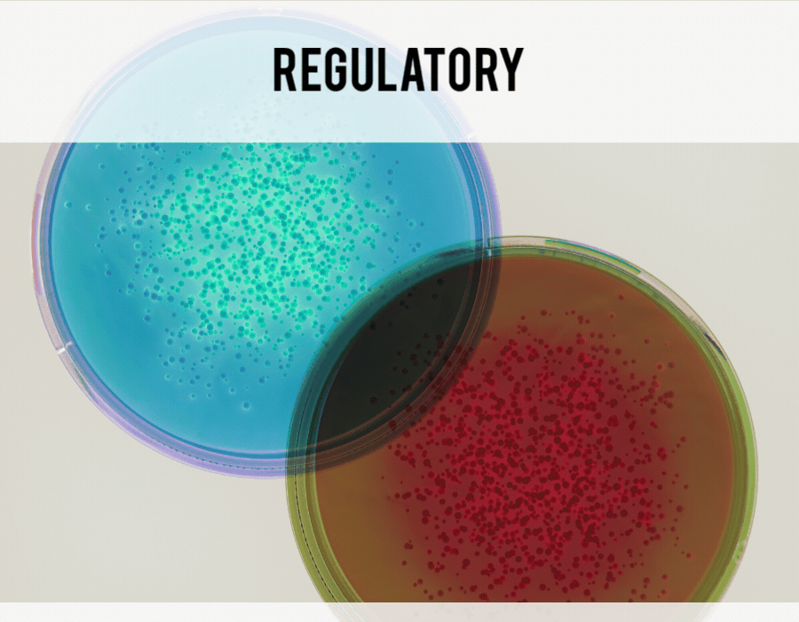 Challenge Testing vs. Preservative Efficacy Testing: What's the Difference?