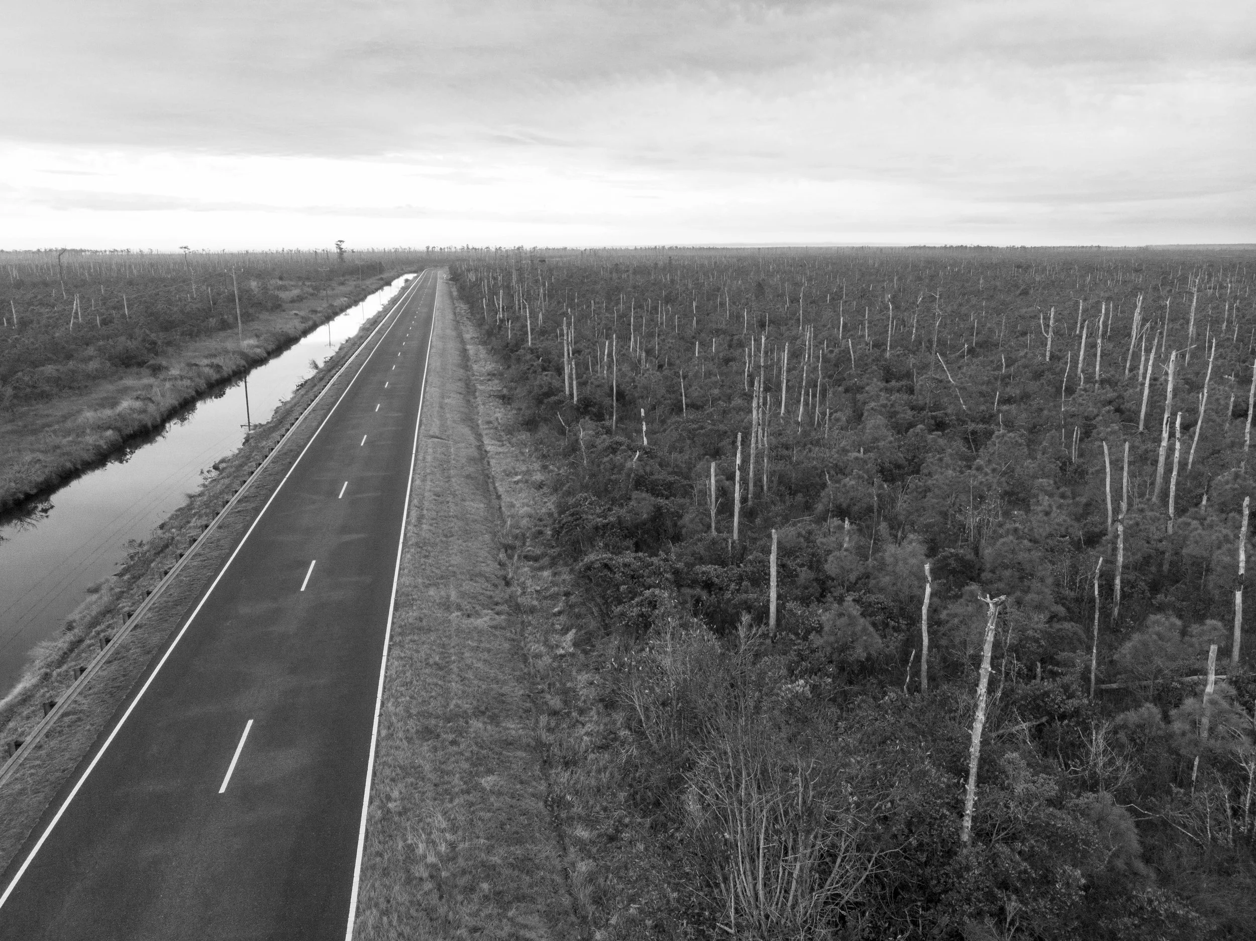 LeJeune_Margaret_Stumpy_Point_Hwy.jpg
