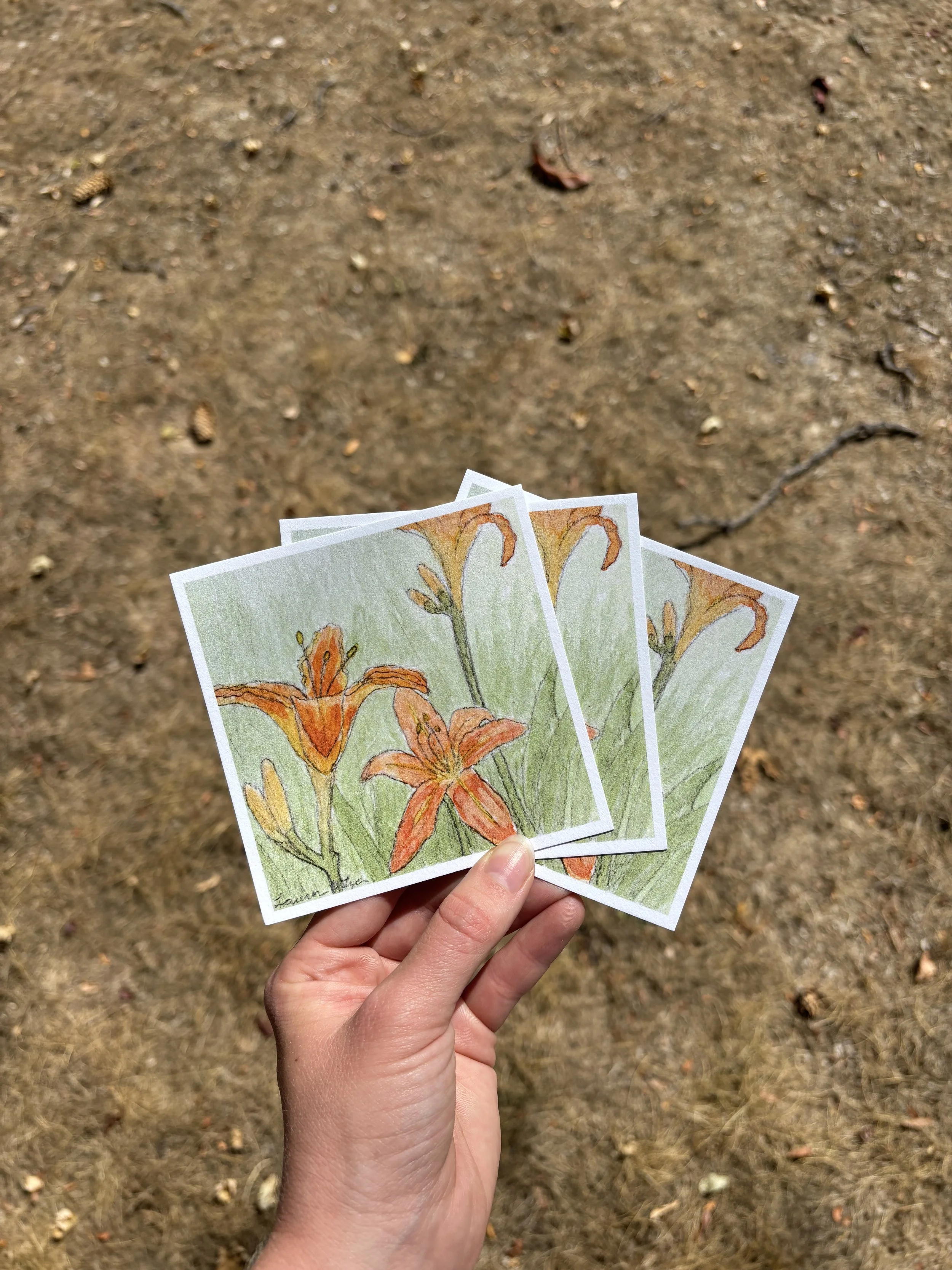 Consider the Lilies