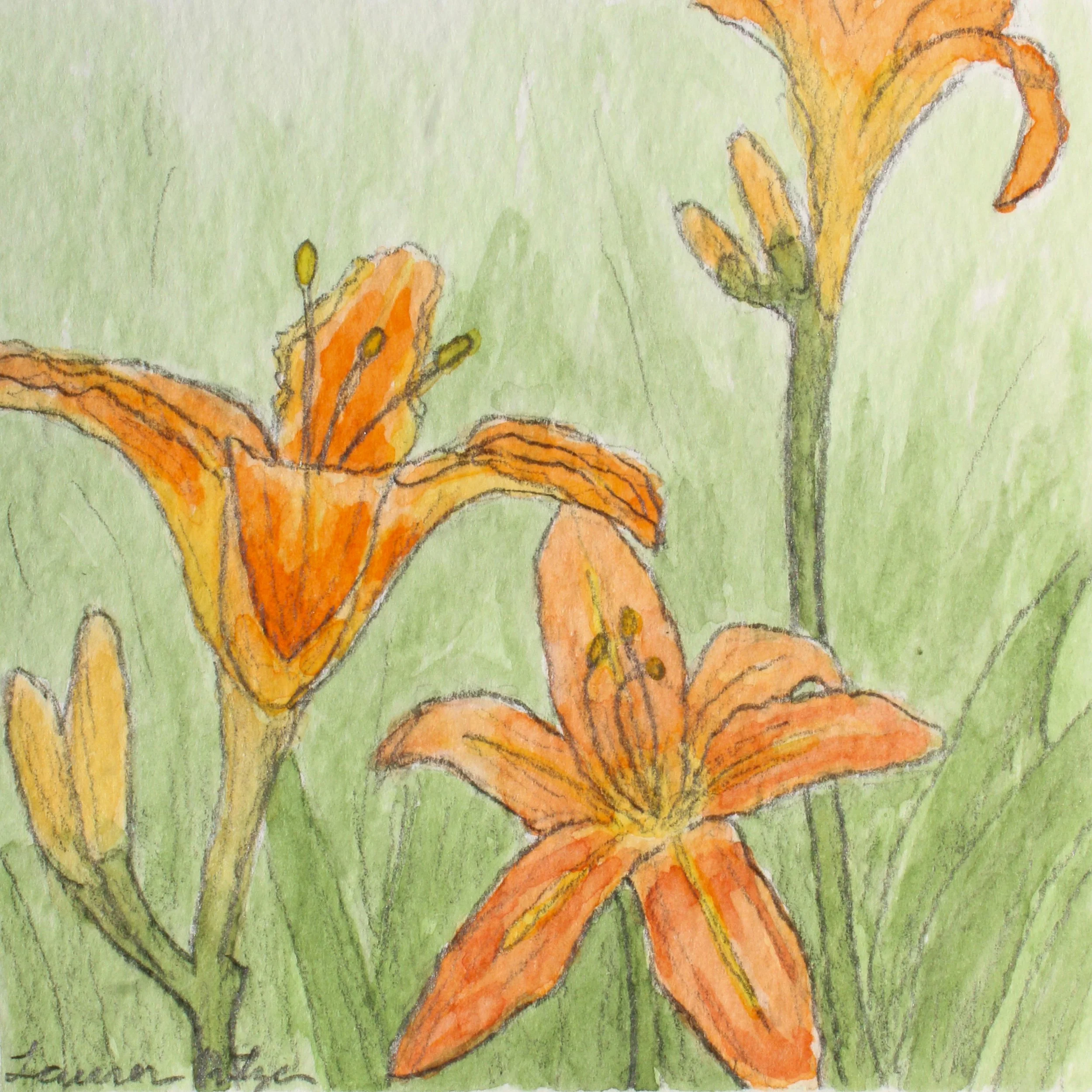 Consider the Lilies
/ 4x4" Graphite and Watercolor
/ Available for Purchase
/ 2026