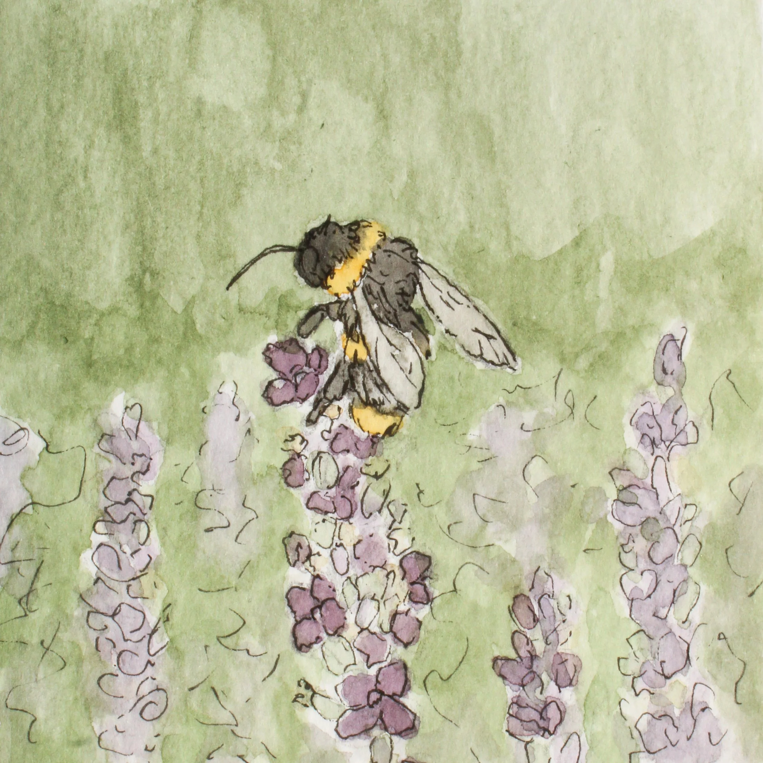 Honey Bee
/ 4x4" Pen and Watercolor
/ Available for Purchase
/ 2026