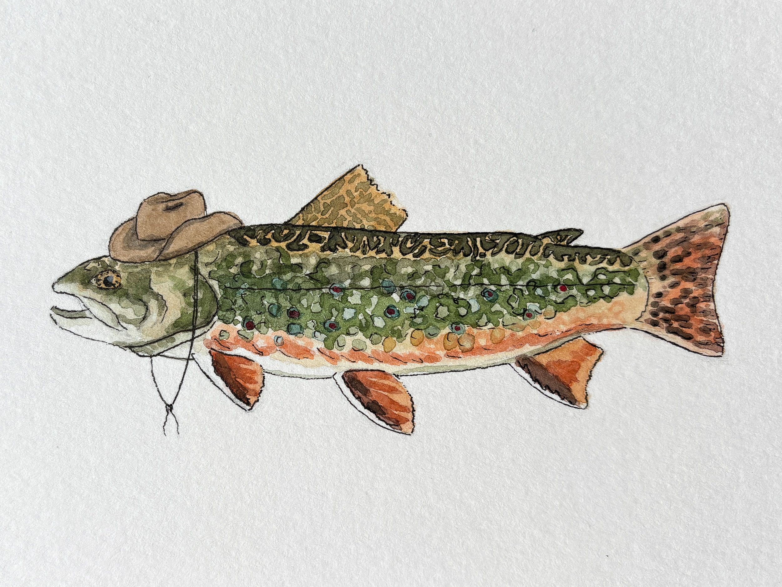 Cowboy Brook Trout
/ 4x6" Pen and Watercolor
/ Commission
/ 2026