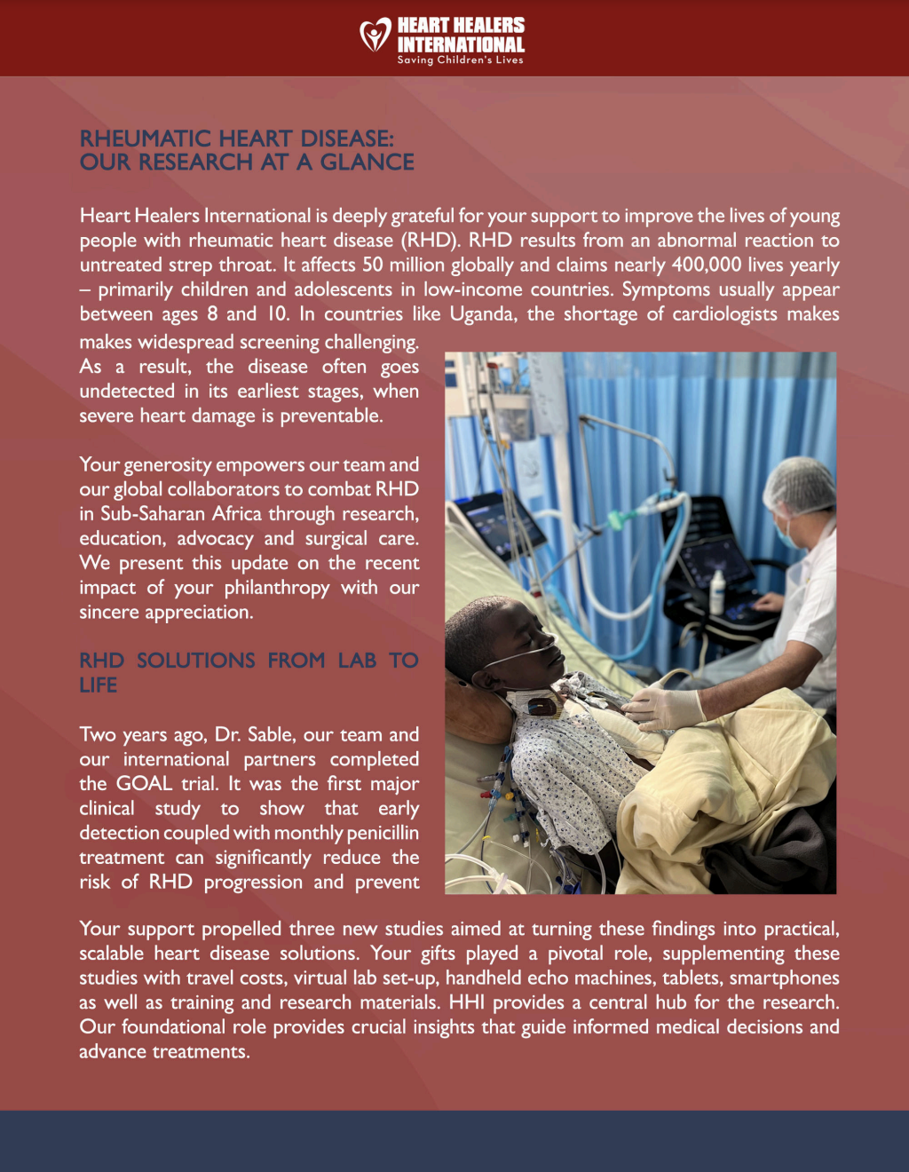 RHD: Our Research at a Glance