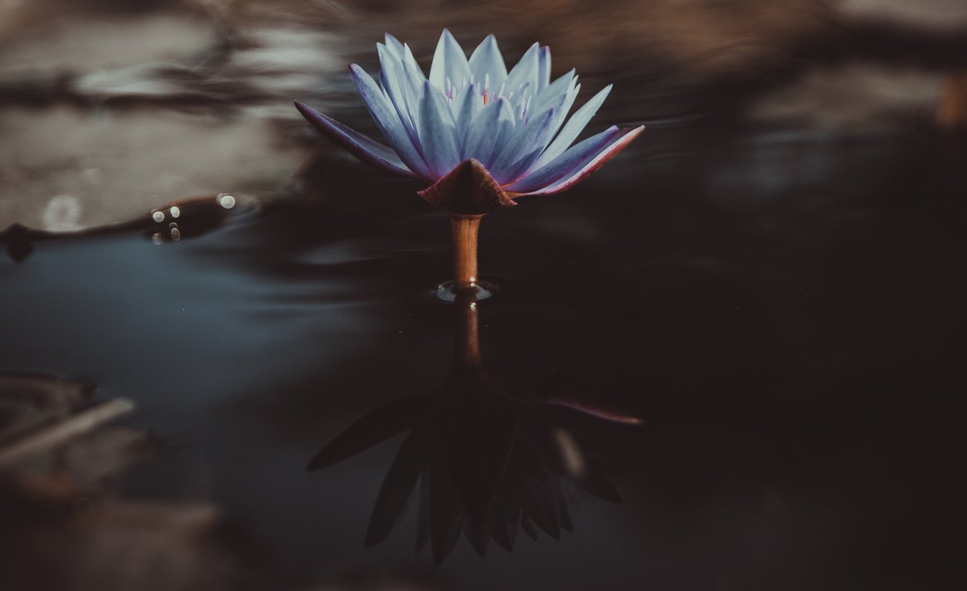Stillness