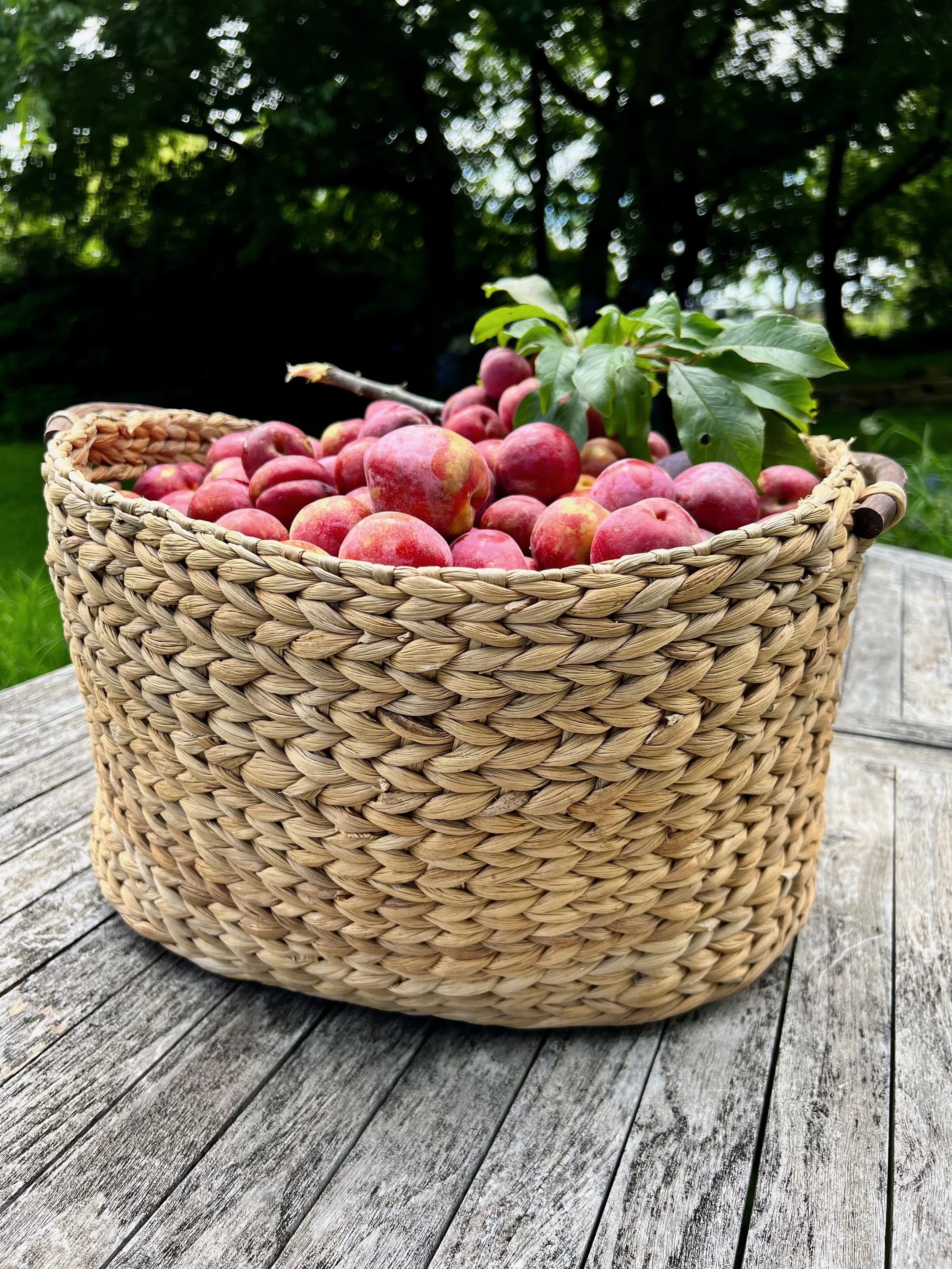 A wicker basket filled with red and pink apples, with green leaves attached, placed on a weathered wooden surface outdoors.