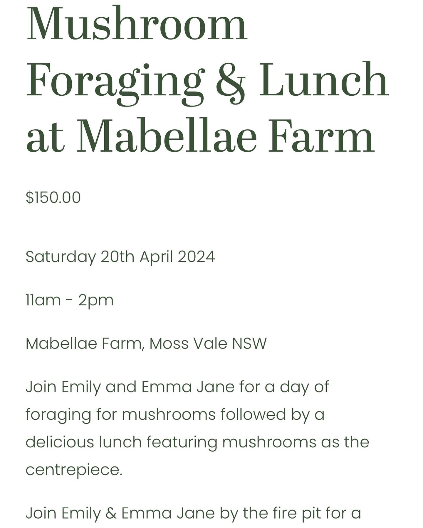 Mushroom foraging and lunch at Mabellae Farm.