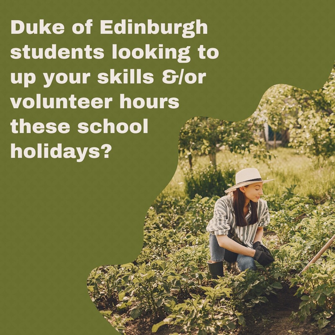 Do you know a young person looking to up their volunteer &amp;/or skills hours these school holidays? 

We are offering the opportunity for young people to join us on Mabellae Farm these school holidays in the Market Garden and Greenhouse. 

As our S