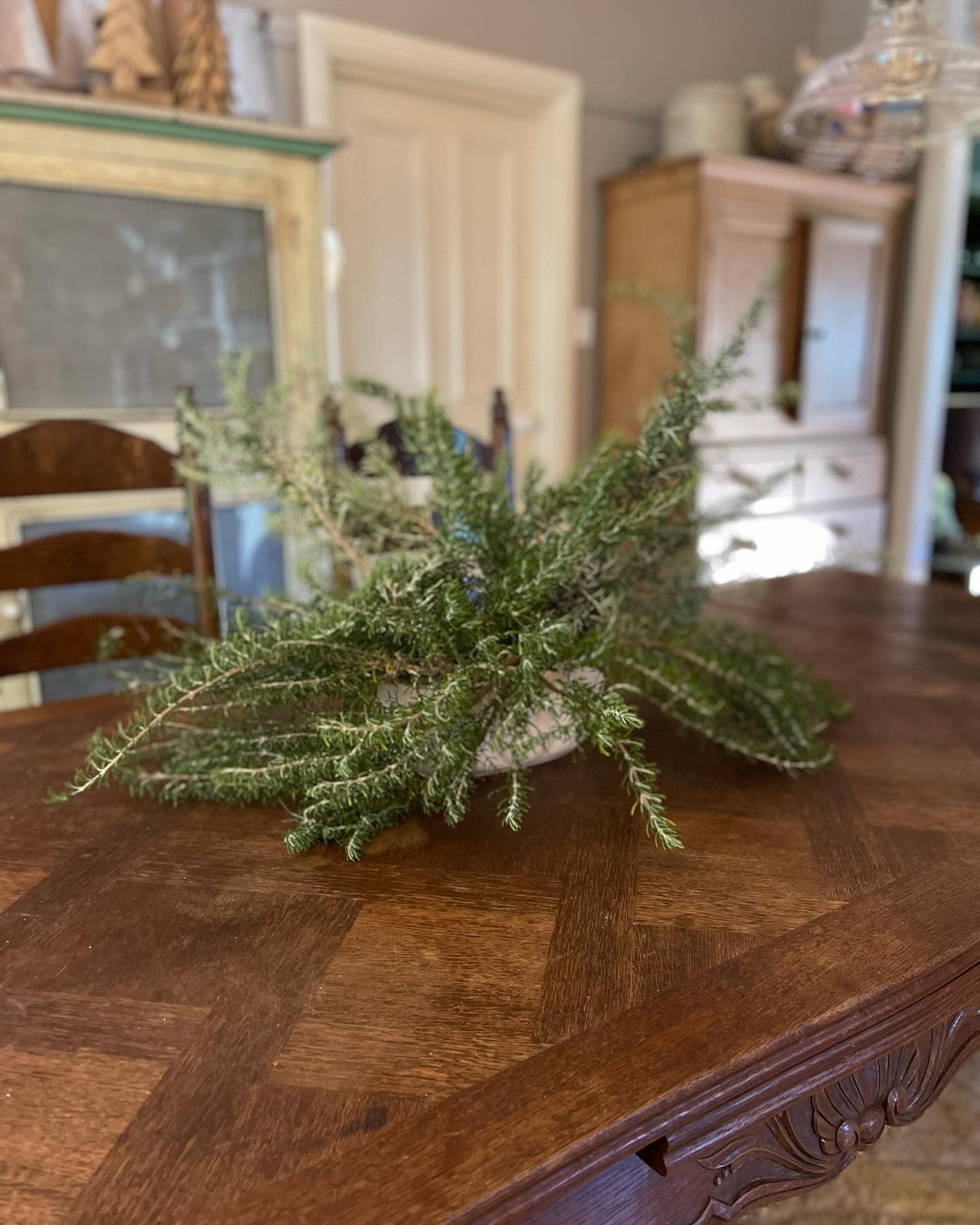 ANZAC Biscuits and Rosemary pins.

Every year we make ANZAC biscuits and Rosemary pins to remember those brave men, women and animals who served in the war or gave of their lives. 

I only wish we had learnt from the past and could today say that the