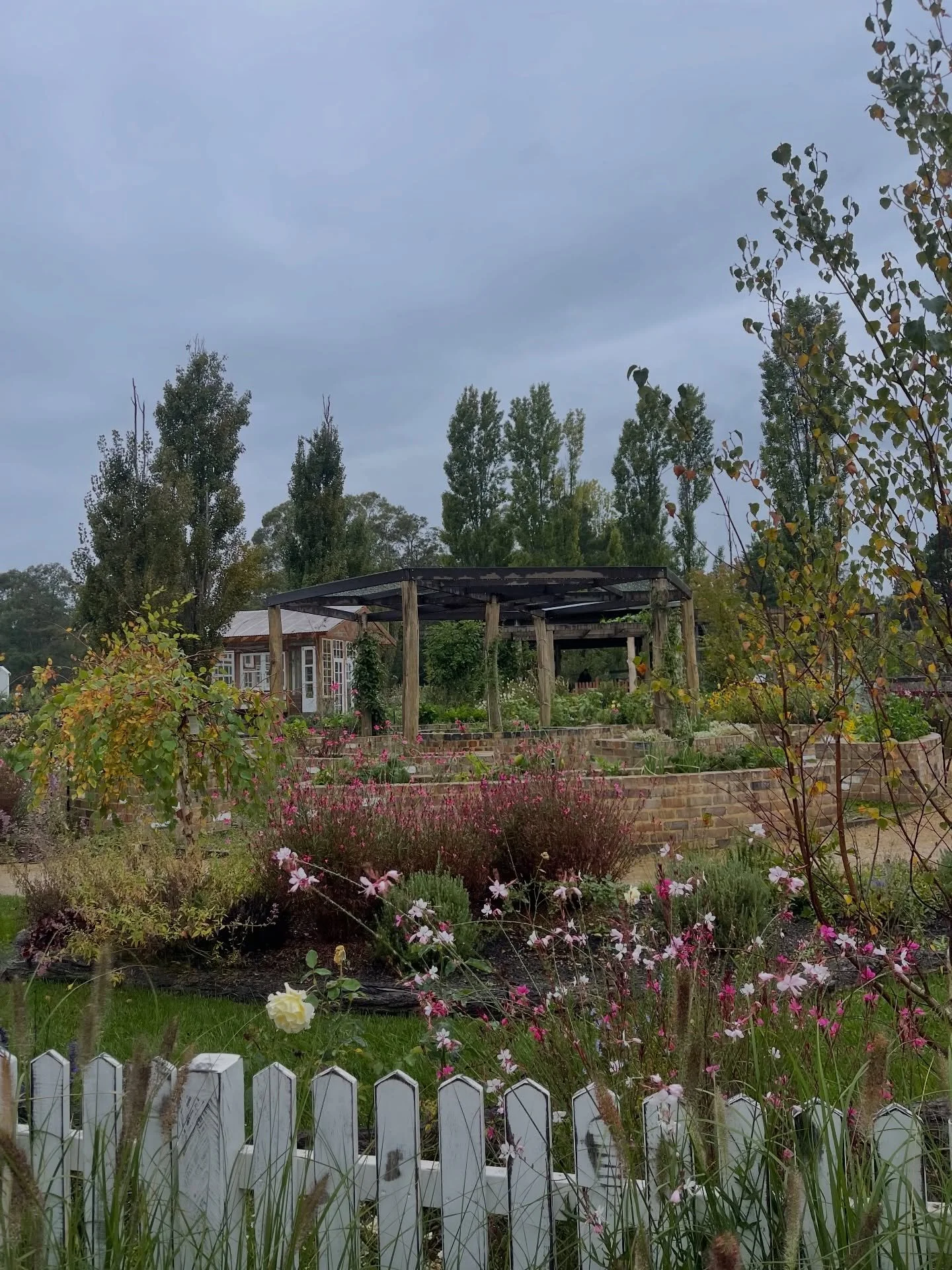@burradooparkfarm today on a drizzling Highlands day. 

A truly magical place of learning, growing, eating, sharing and beauty.
 
I am a happy camper. x