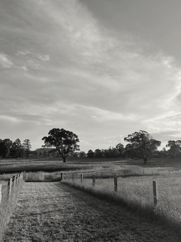 A black-and-white photo of a rural landscape with a dirt path leading through a fenced field, several trees scattered across the grassy terrain, and a cloudy sky above.