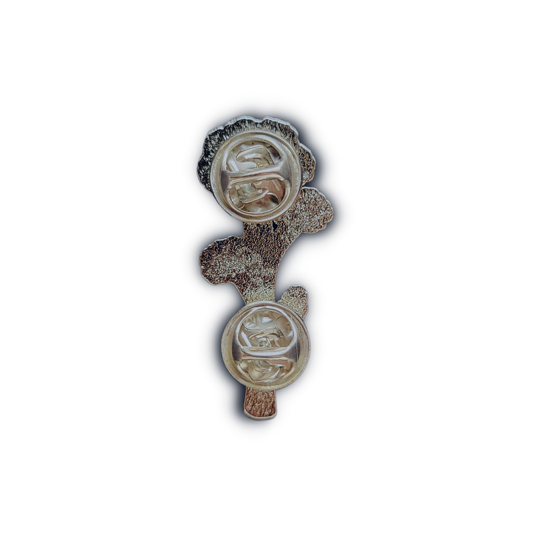 20230311_174848_0001 (1).png