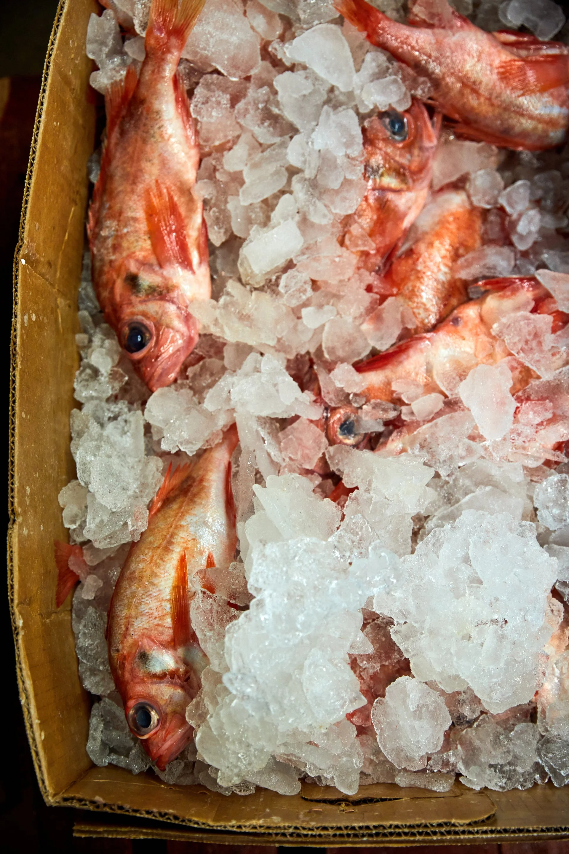 Savour_YamaSeafood_073.jpg