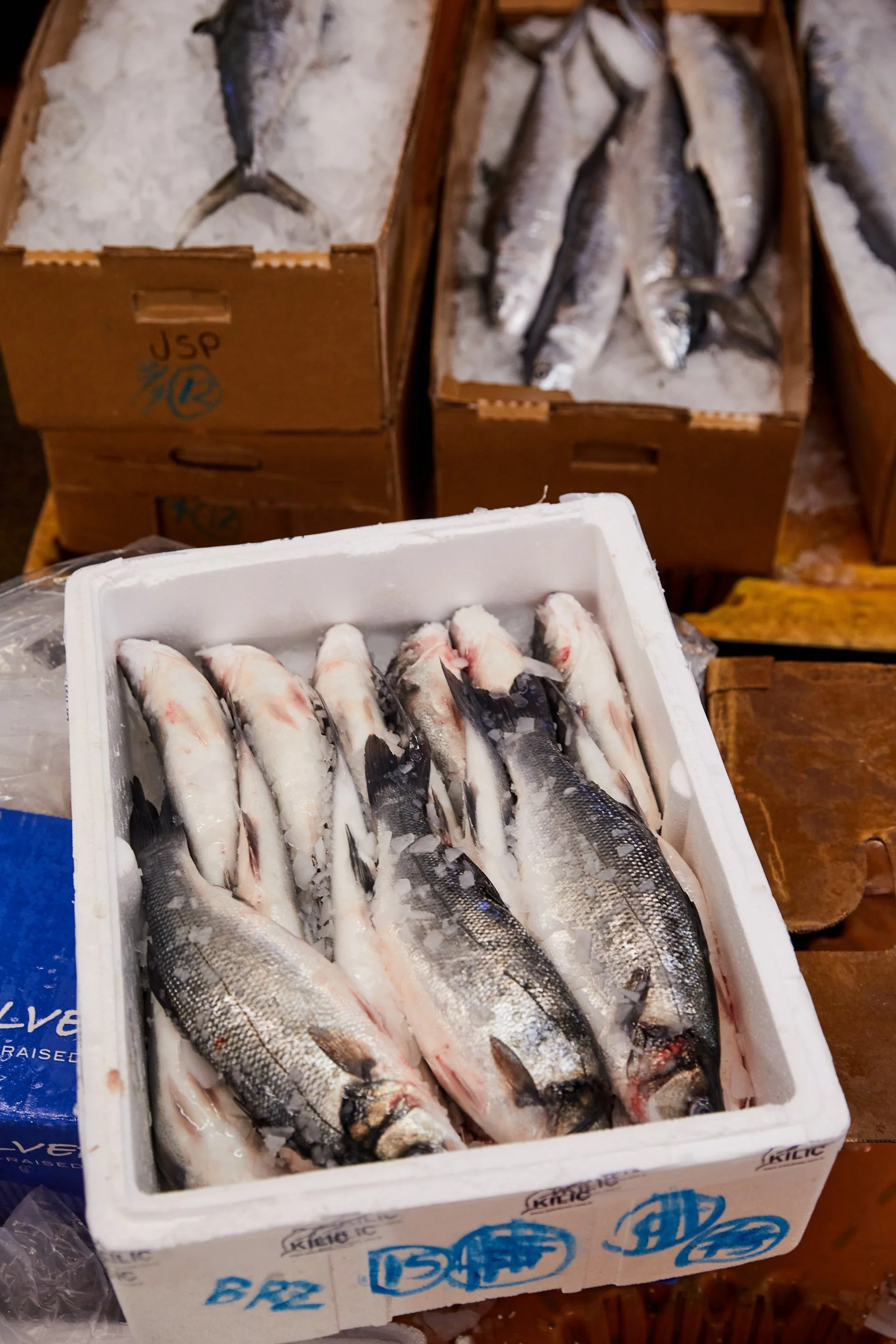 Savour_YamaSeafood_067.jpg